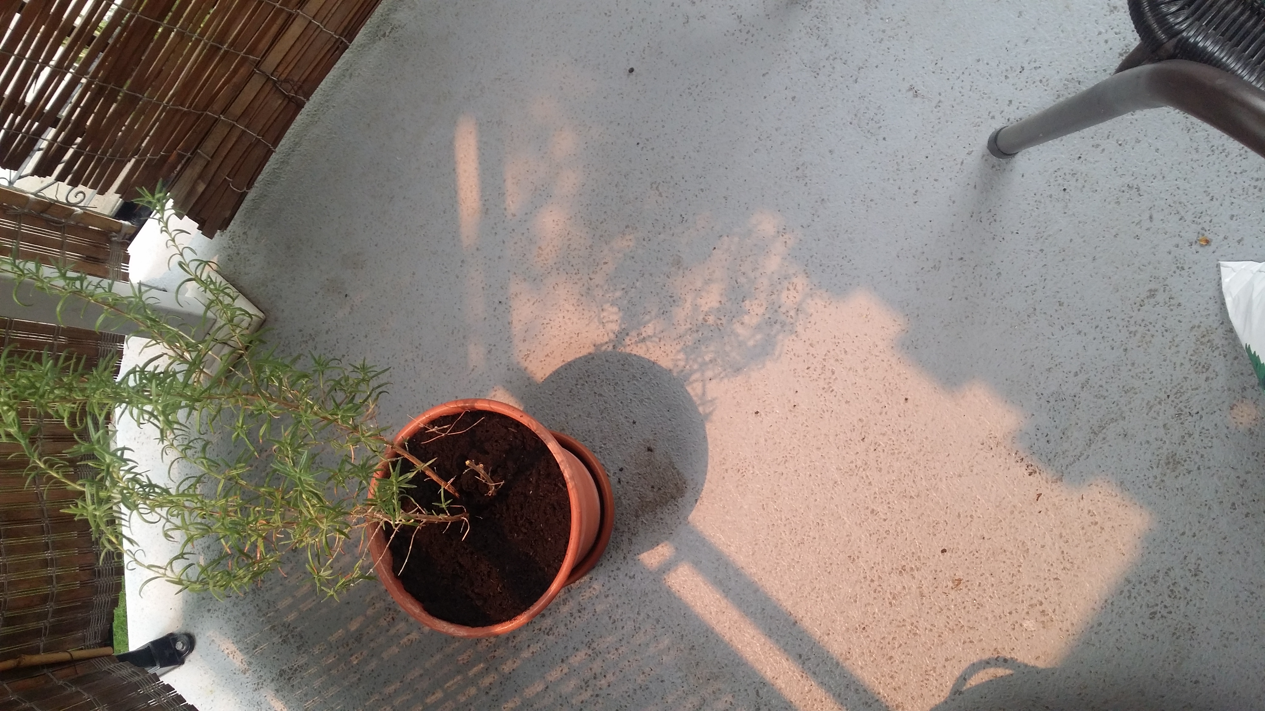 20230625_113326.jpg