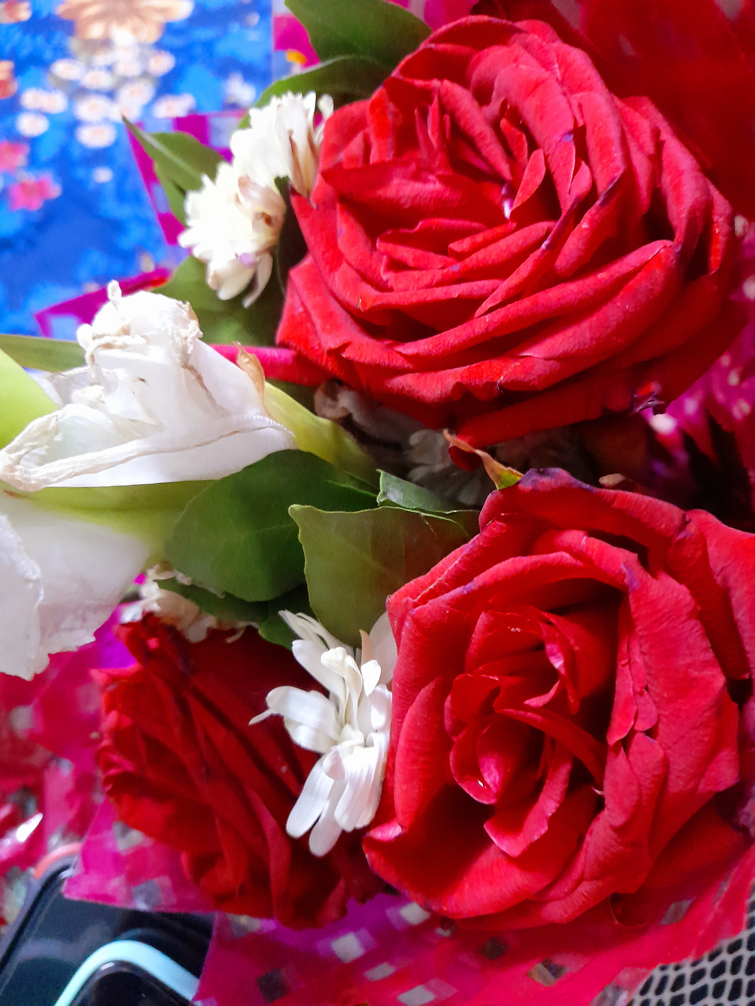 20220125_235454.jpg