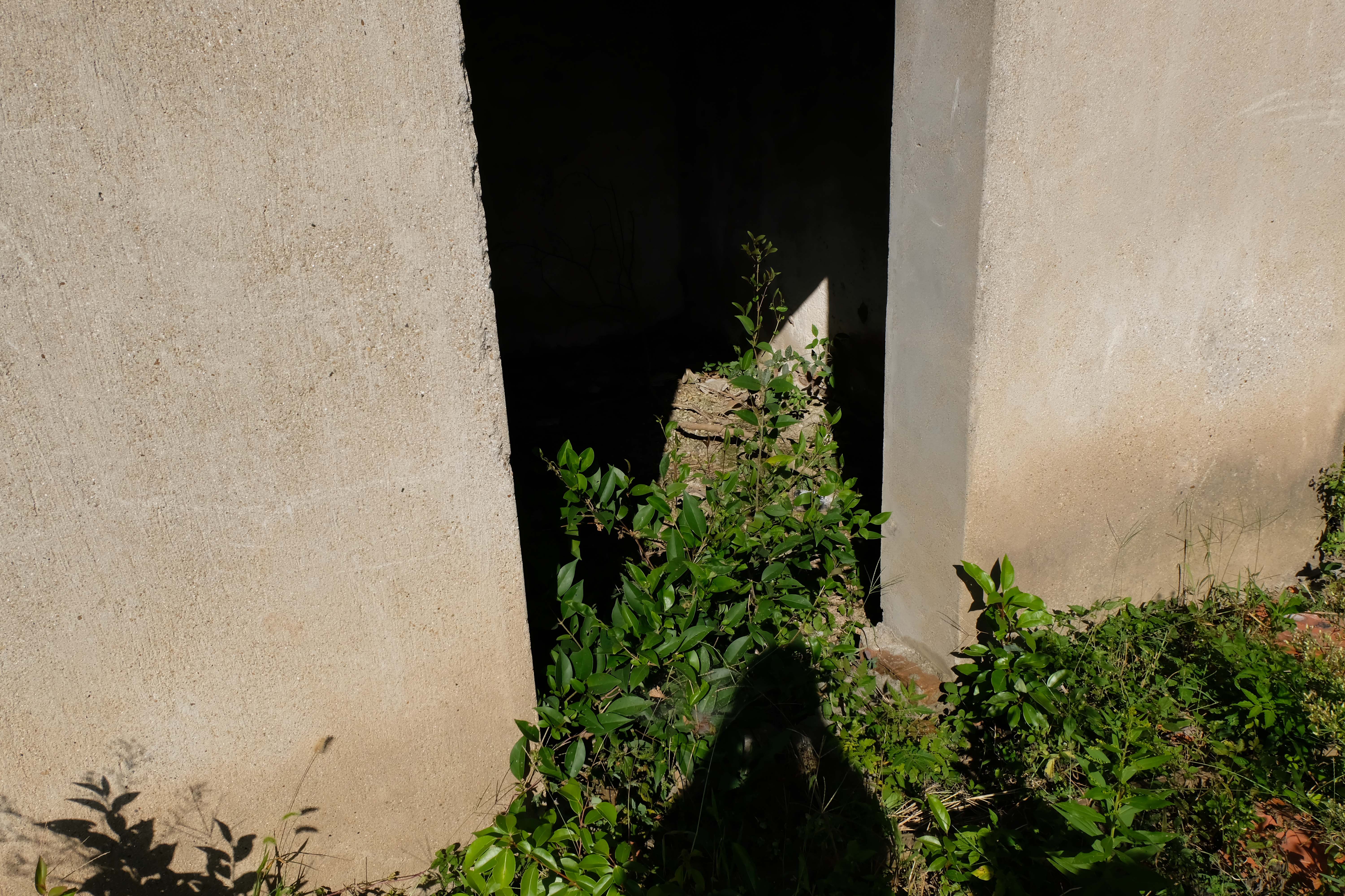 DSCF0910.jpg