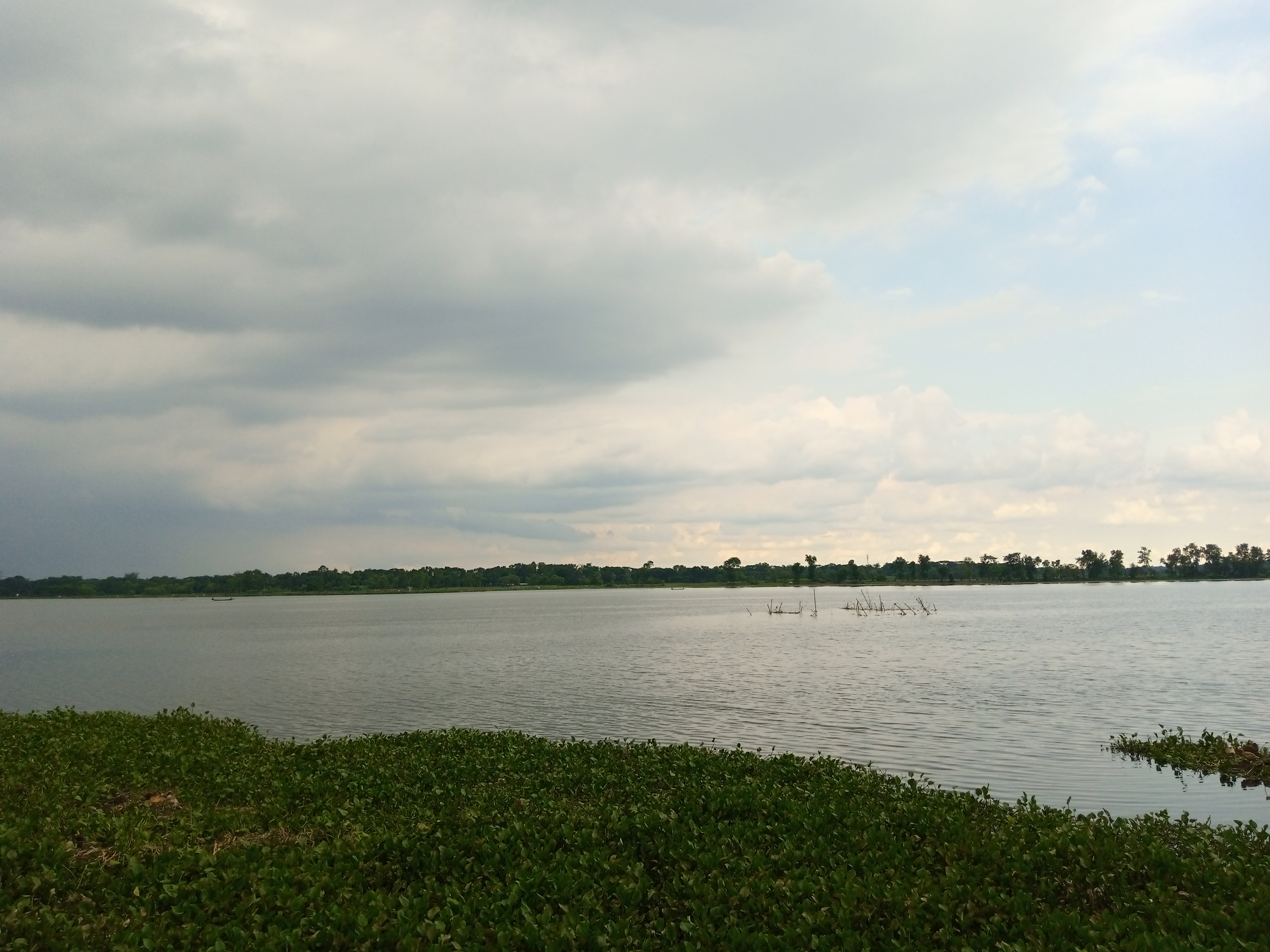 IMG_20200801_160619_469.jpg