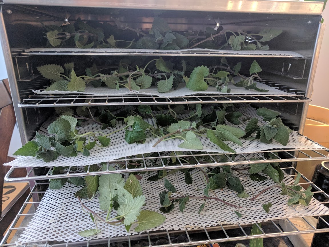 IMG_20180128_100548.jpg