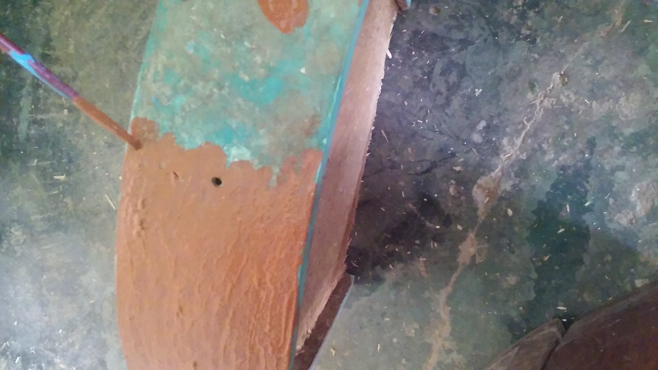 20220126_123430.jpg
