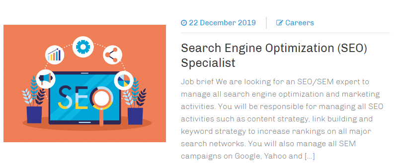 SEO Specialist job at Blue Media Ltd.png