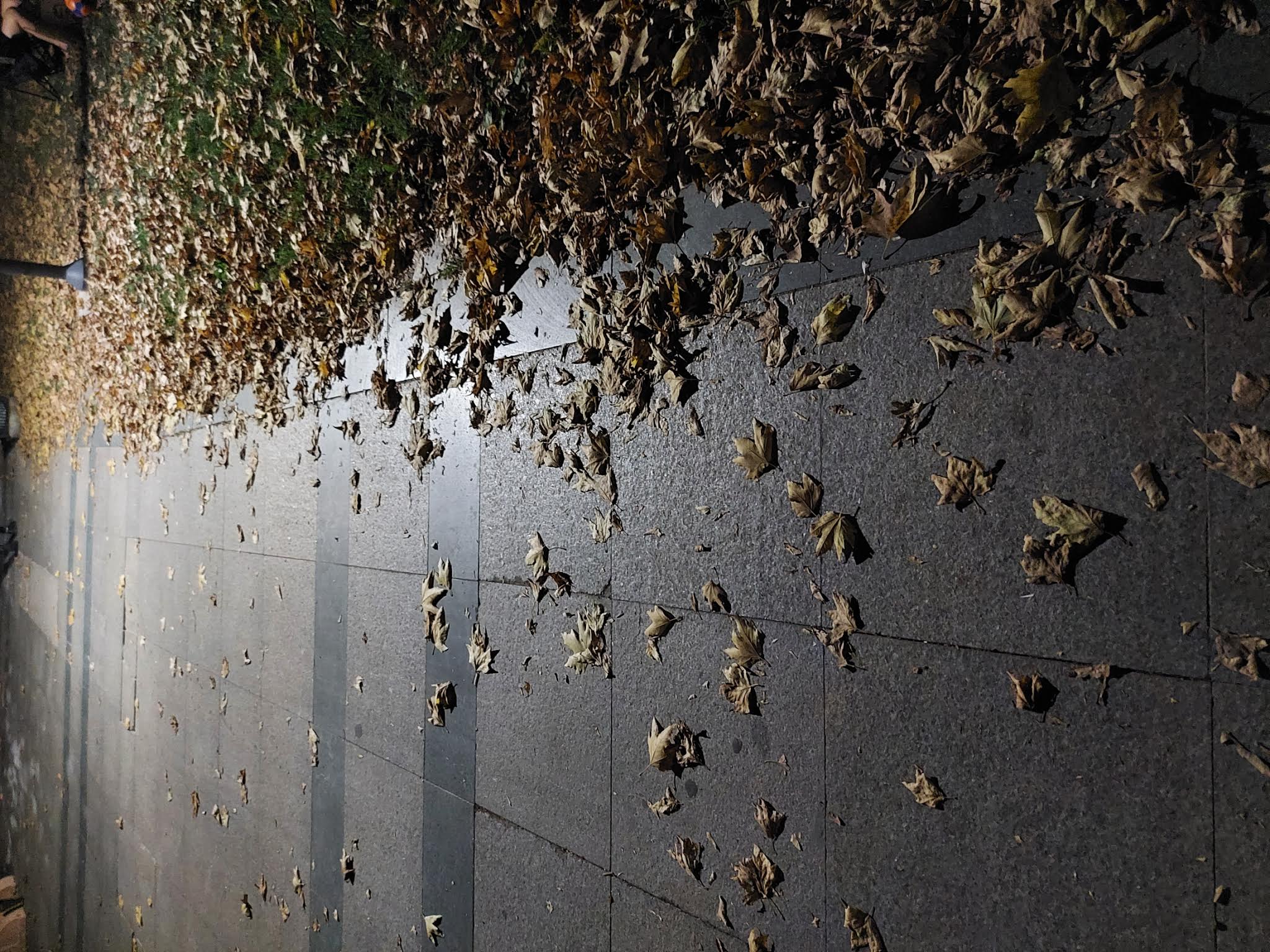 20210730_210512.jpg