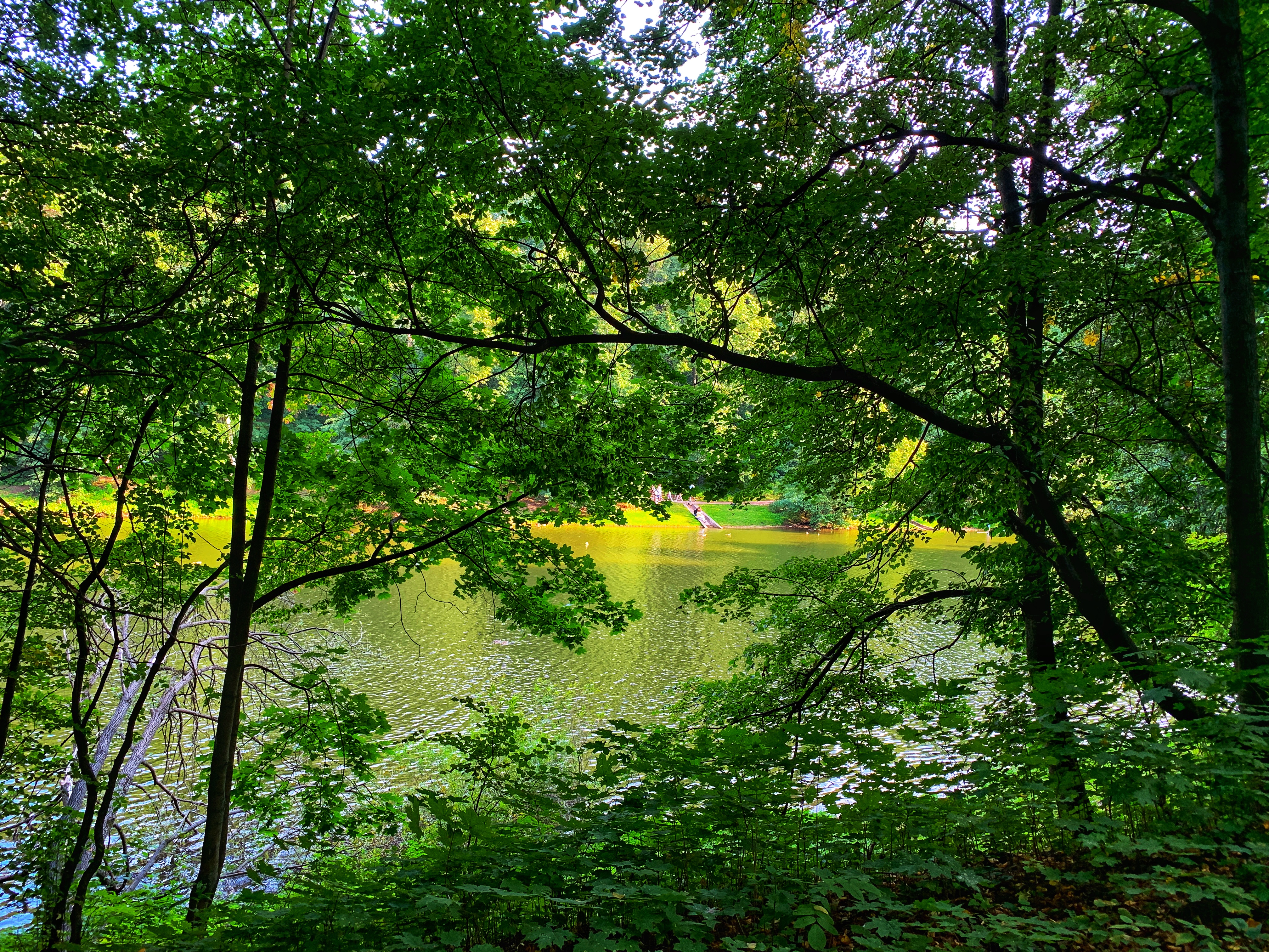 Tsaritsyno Water.jpeg