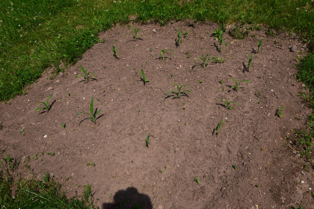 DSC_0076_1200.JPG