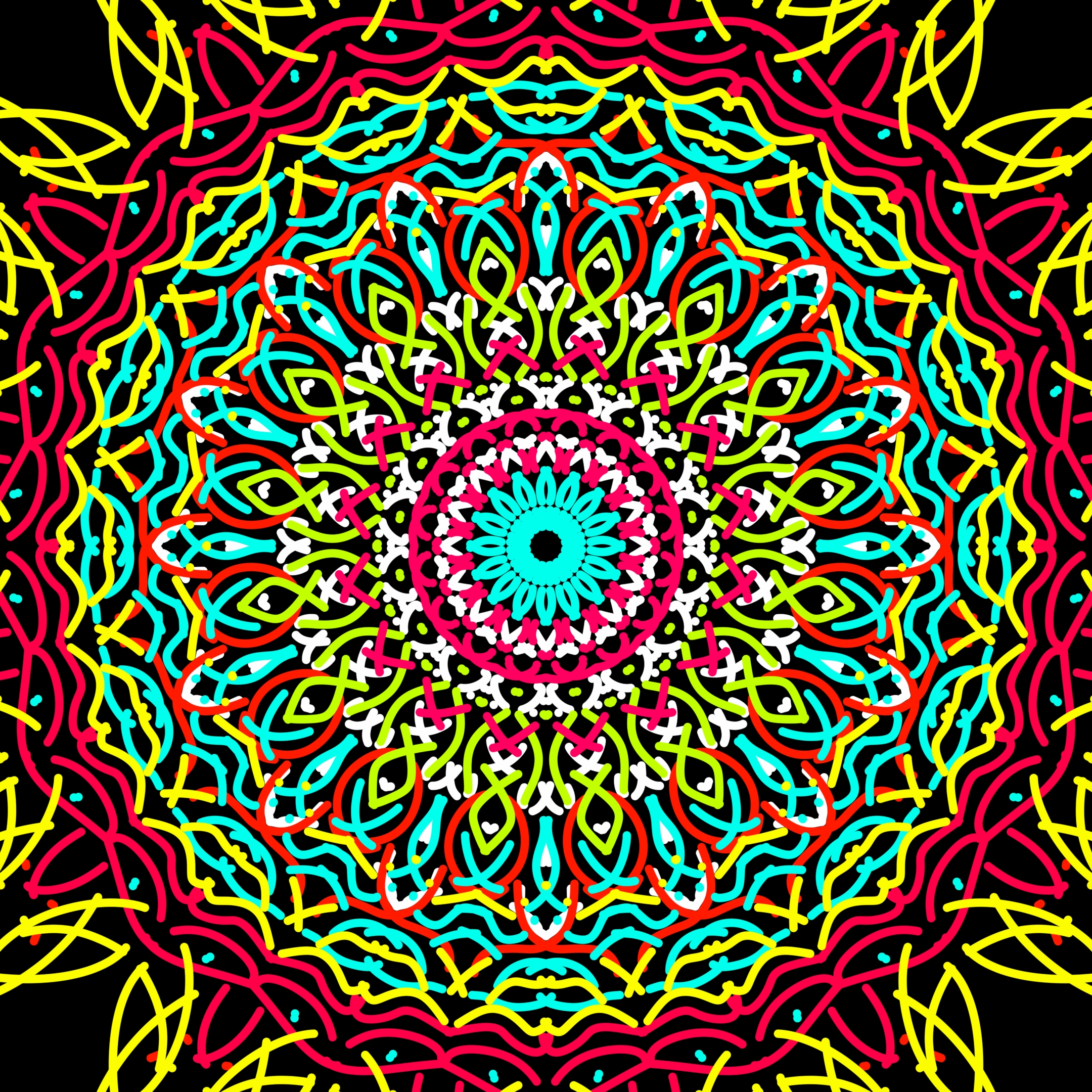 vygygy (20250205105044).jpg