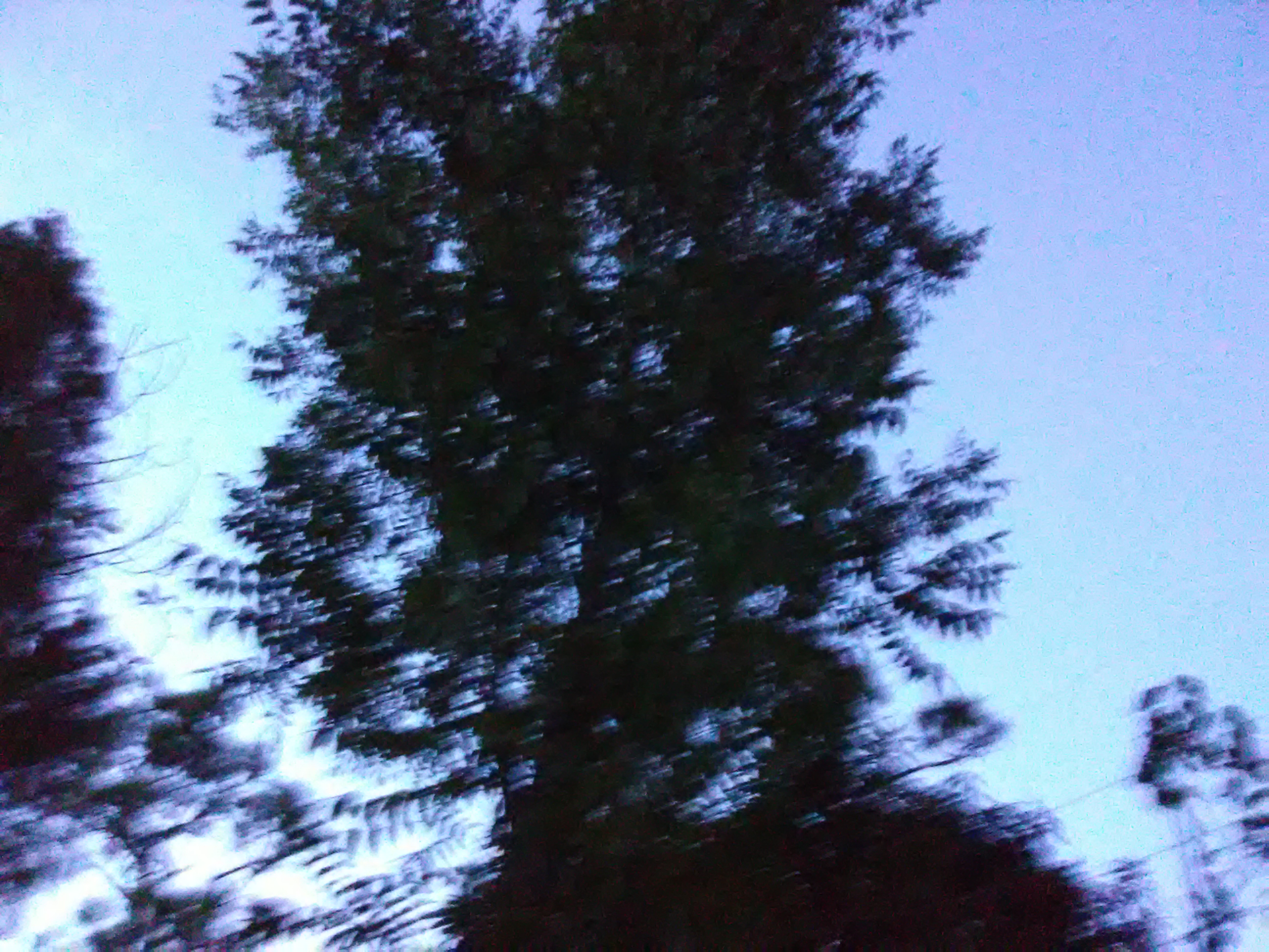 IMG_20191015_190827.jpg