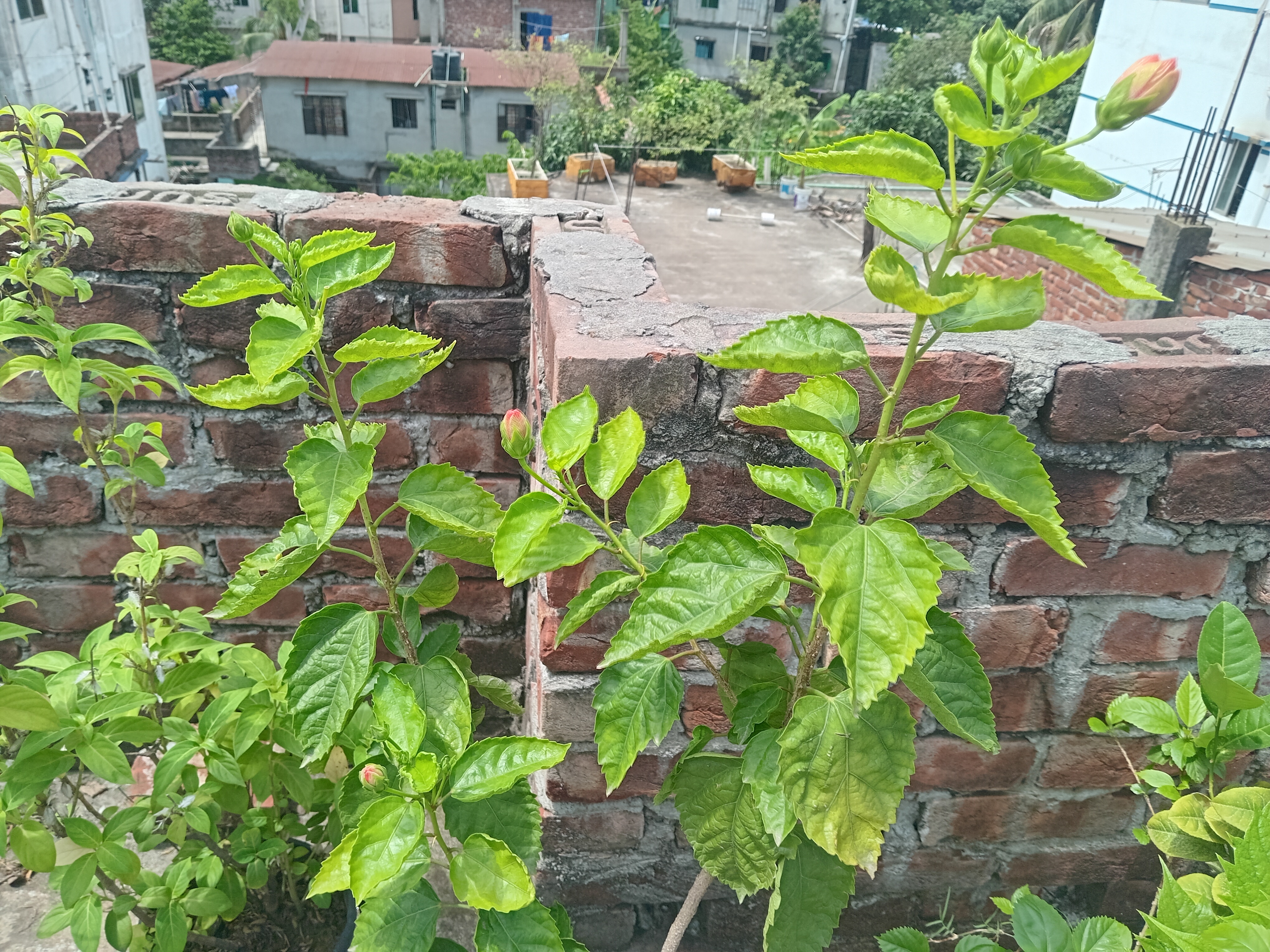 20260703_103325.jpg