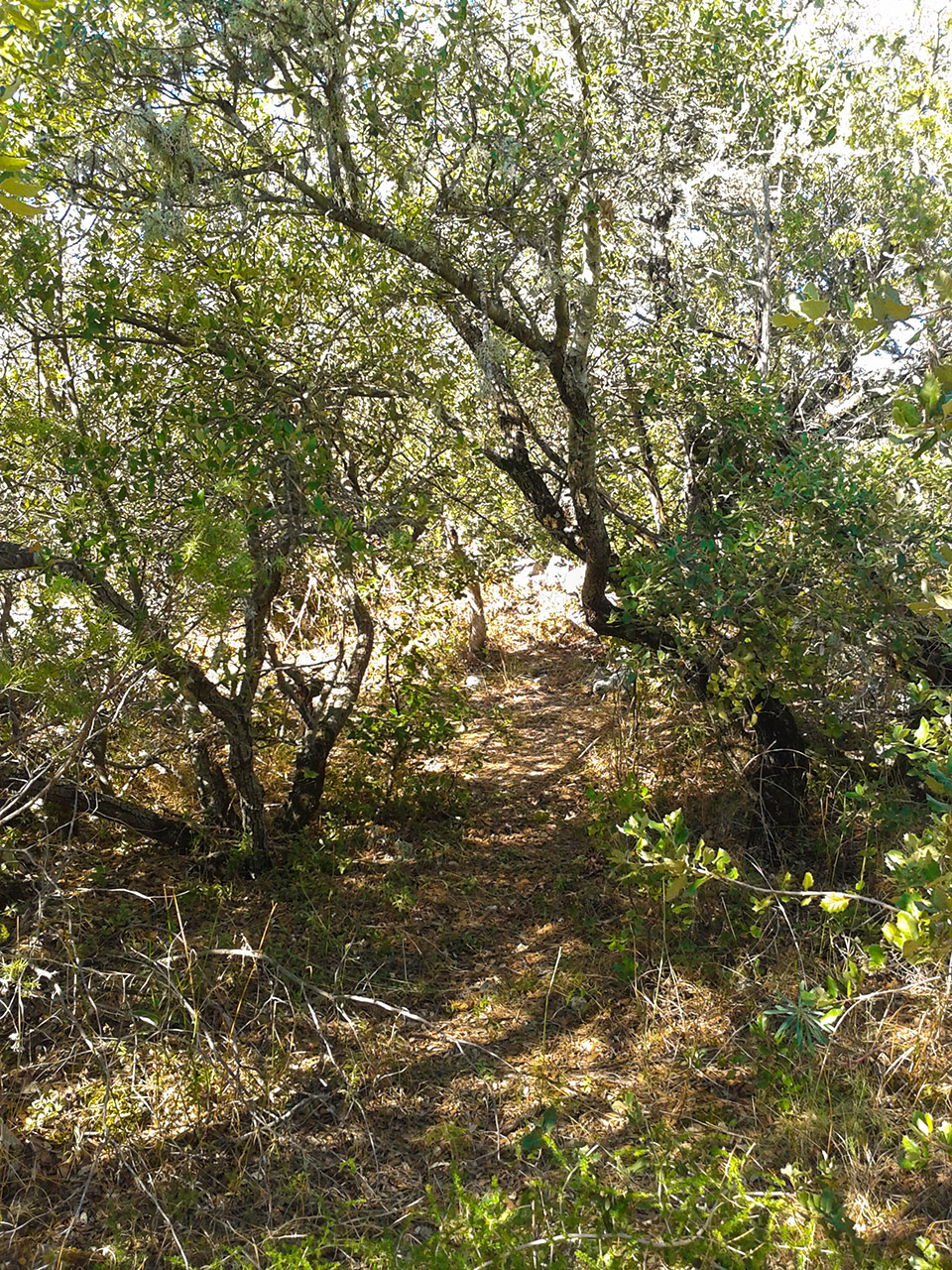 20130914_105132.jpg