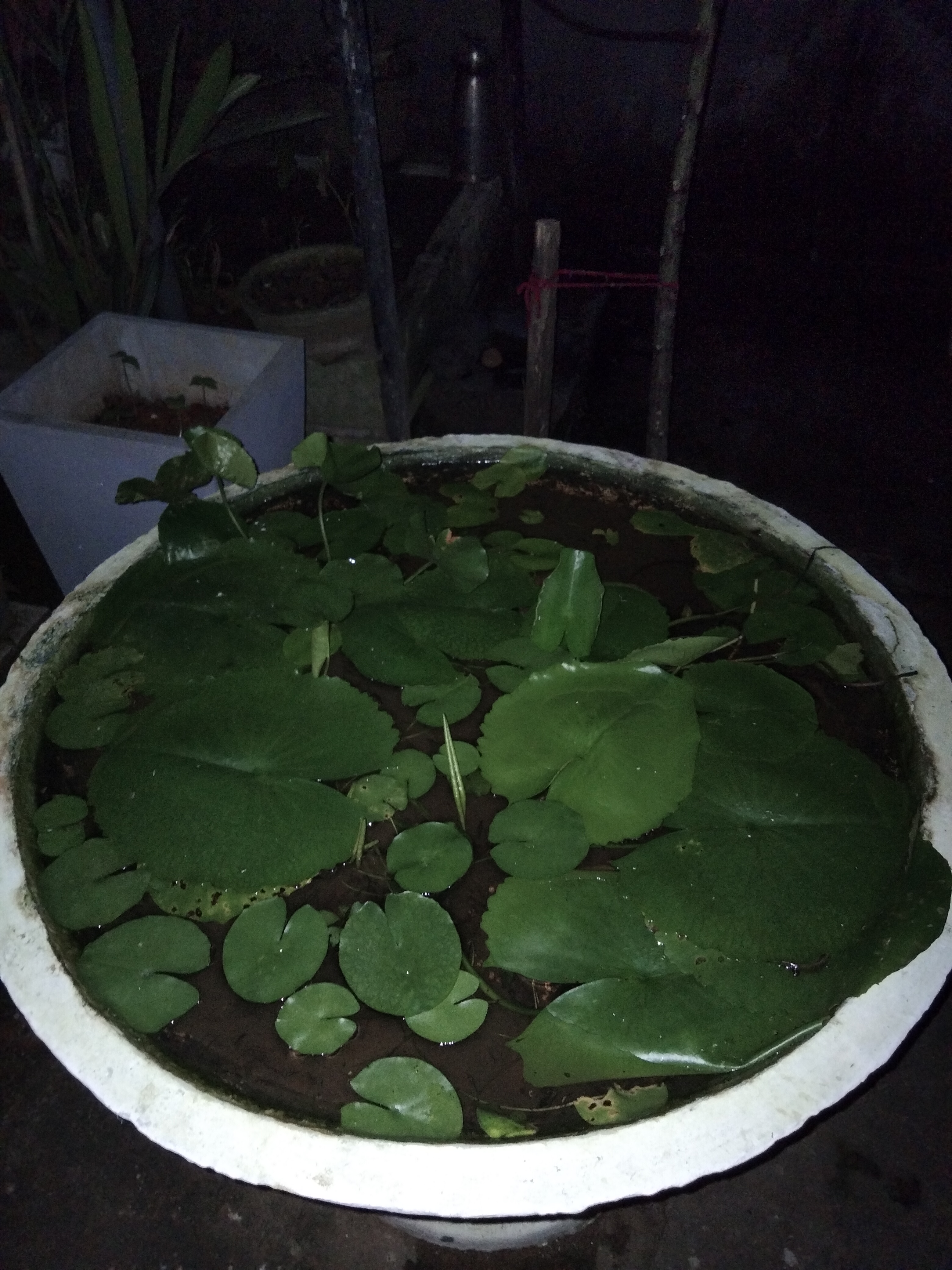 IMG20210817183933.jpg