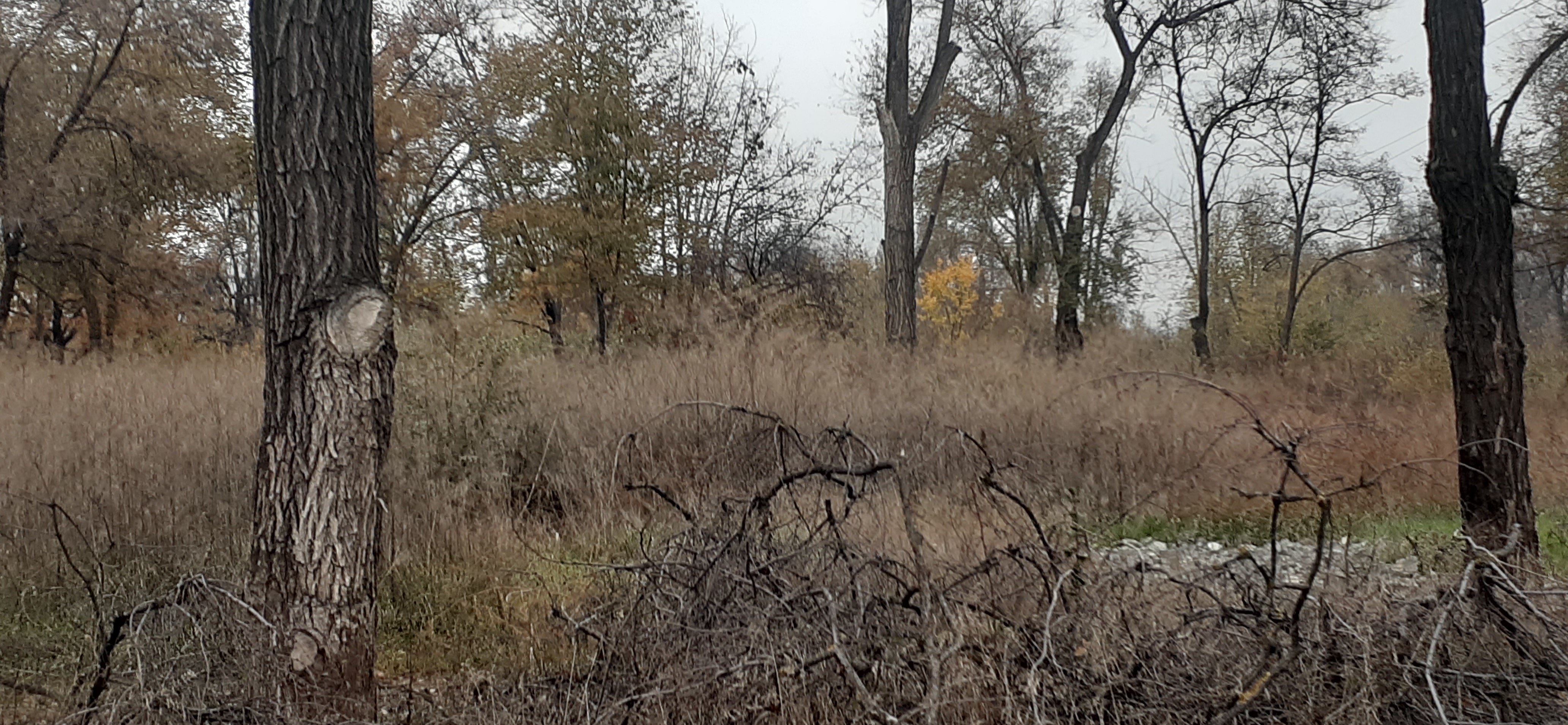 20201116_143653.jpg