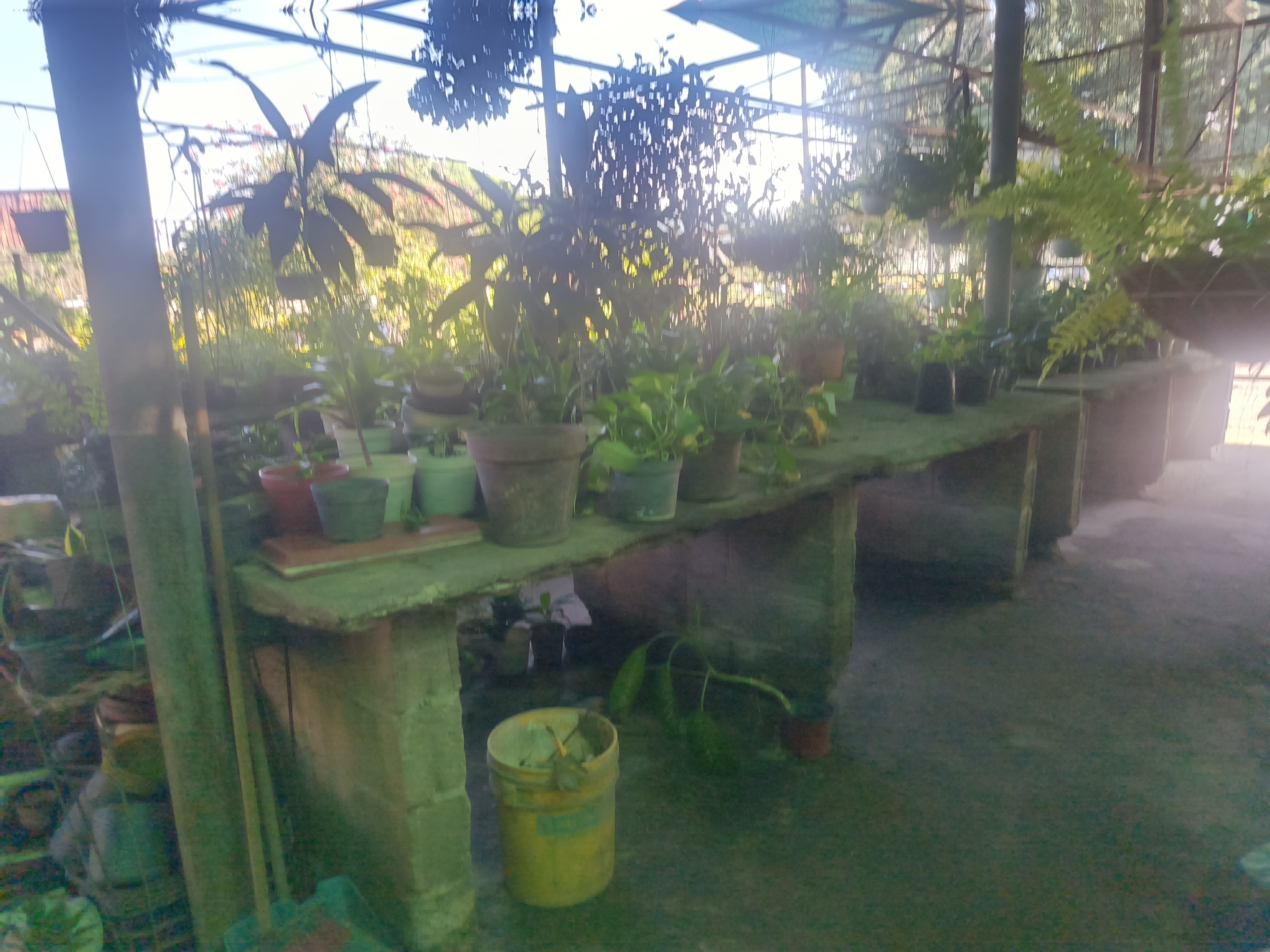 1001541226.jpg