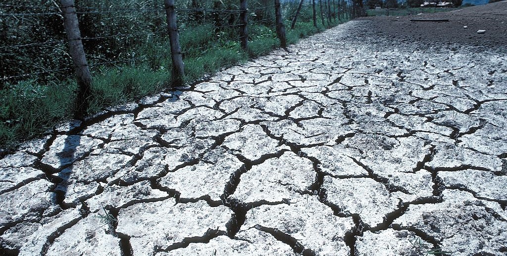 Salt_buildup_from_salt-laden_water_percolating_to_the_surface_and_evaporating..jpg