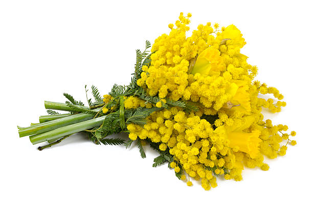 istockphoto-637529086-612x612.jpg