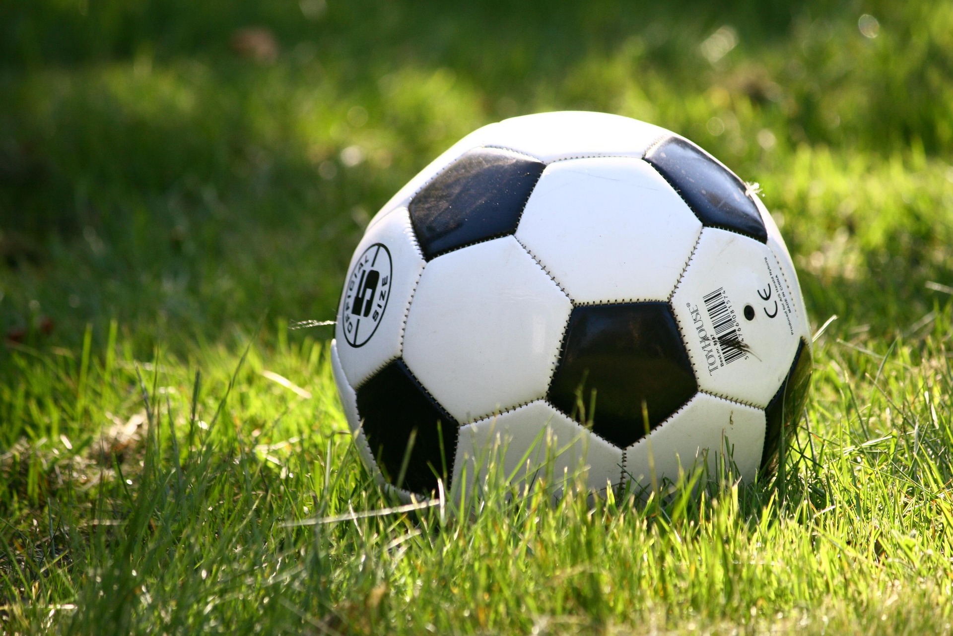 annros-football-1396740_1920.jpg