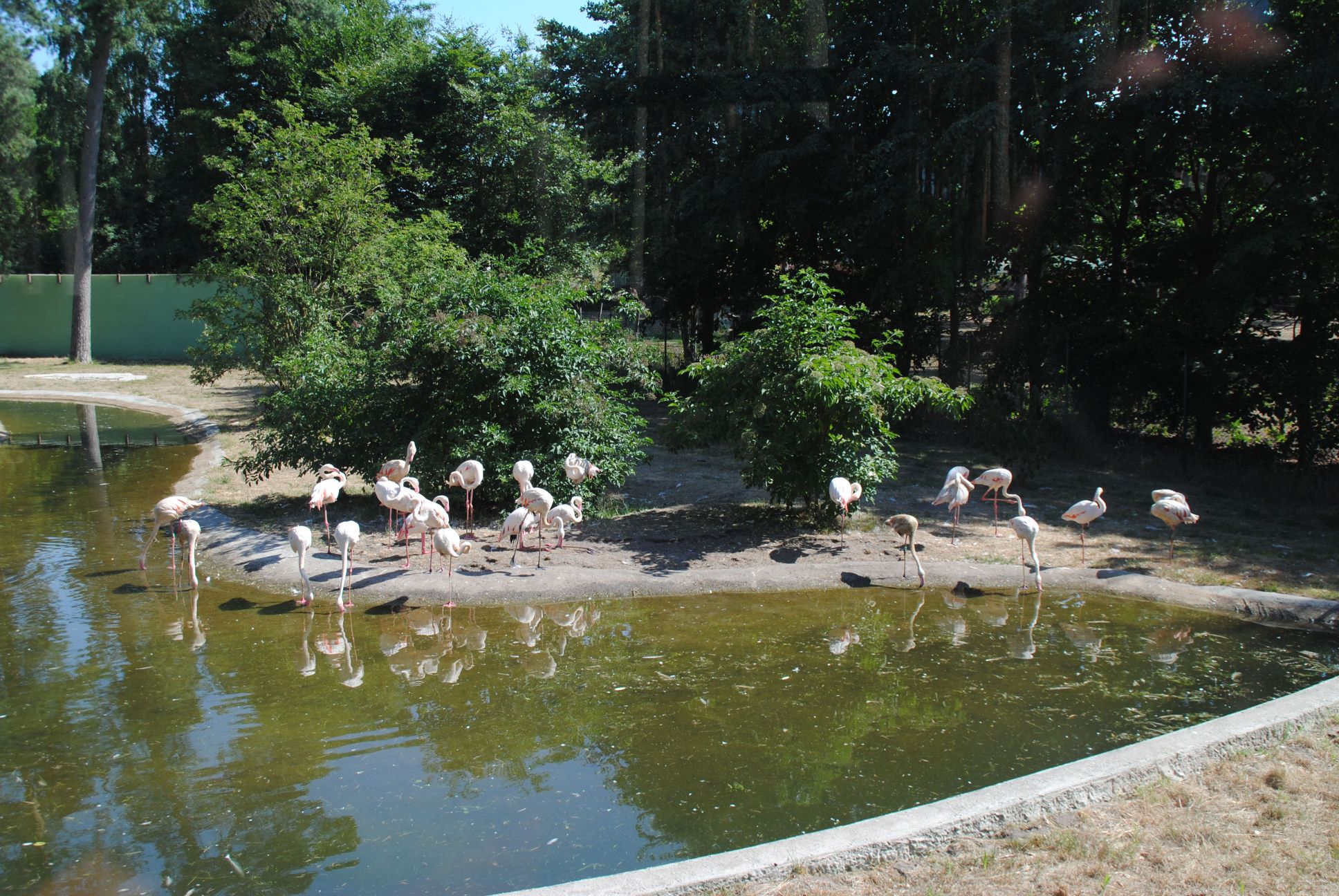 image048.jpg
