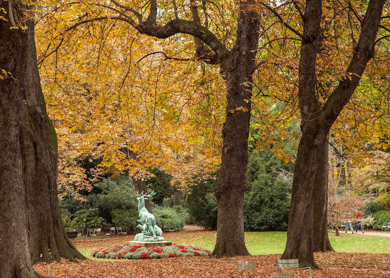 20151025-IMG_1175 copy.jpg