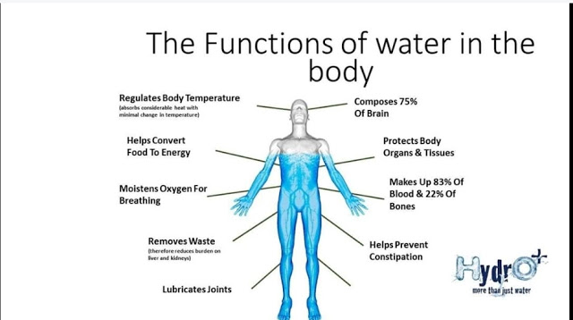 water2.jpg