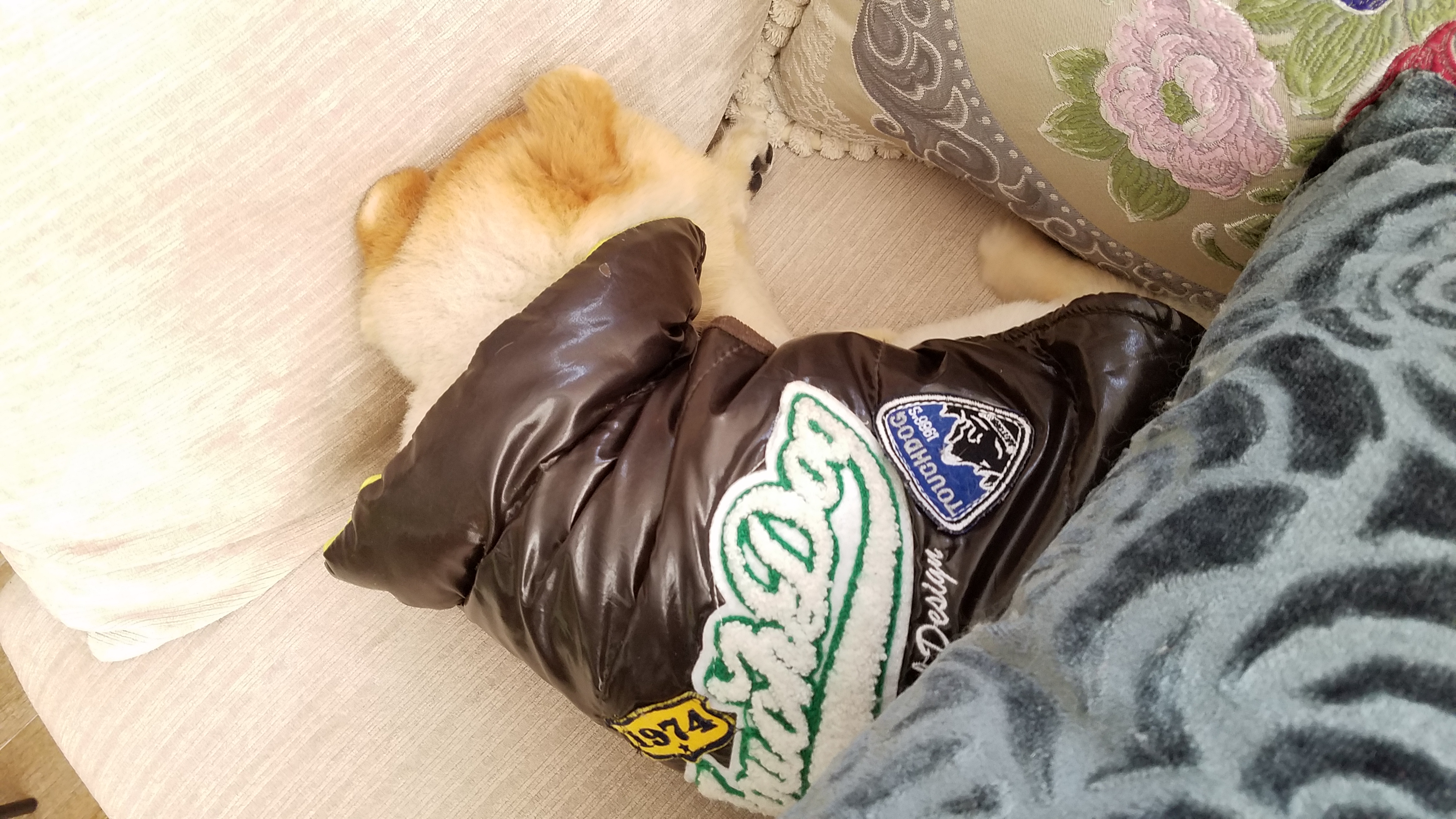 20170503_140436.jpg