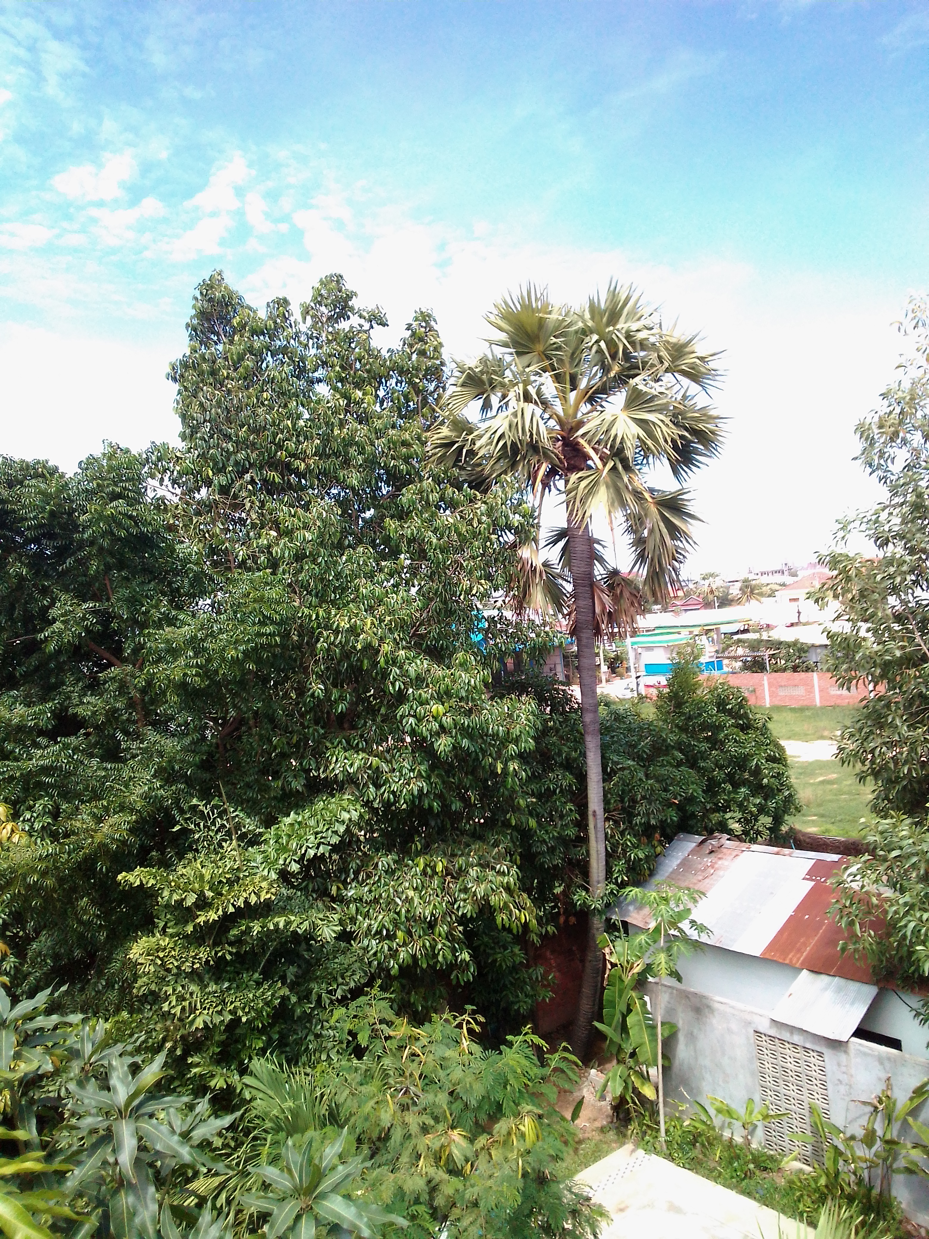 IMG_20190912_133658.jpg