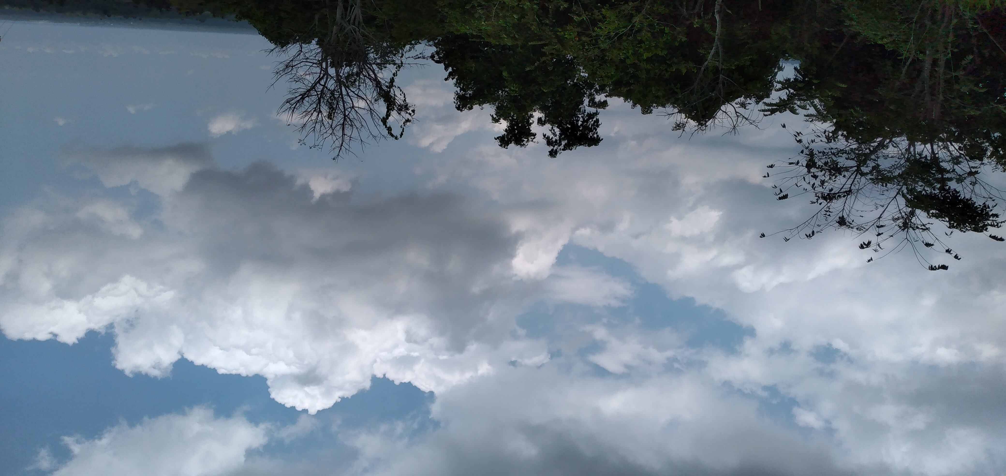 20230329_122552.jpg