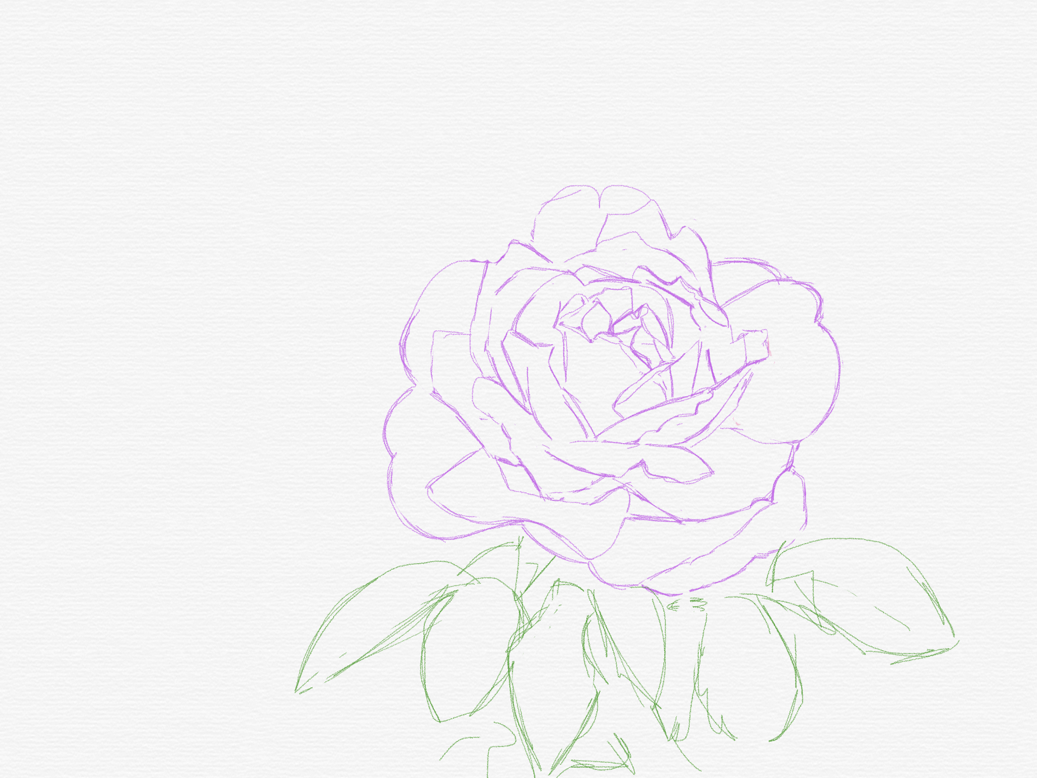 C1328852-FC64-438D-840B-A2D2744A87D0.png