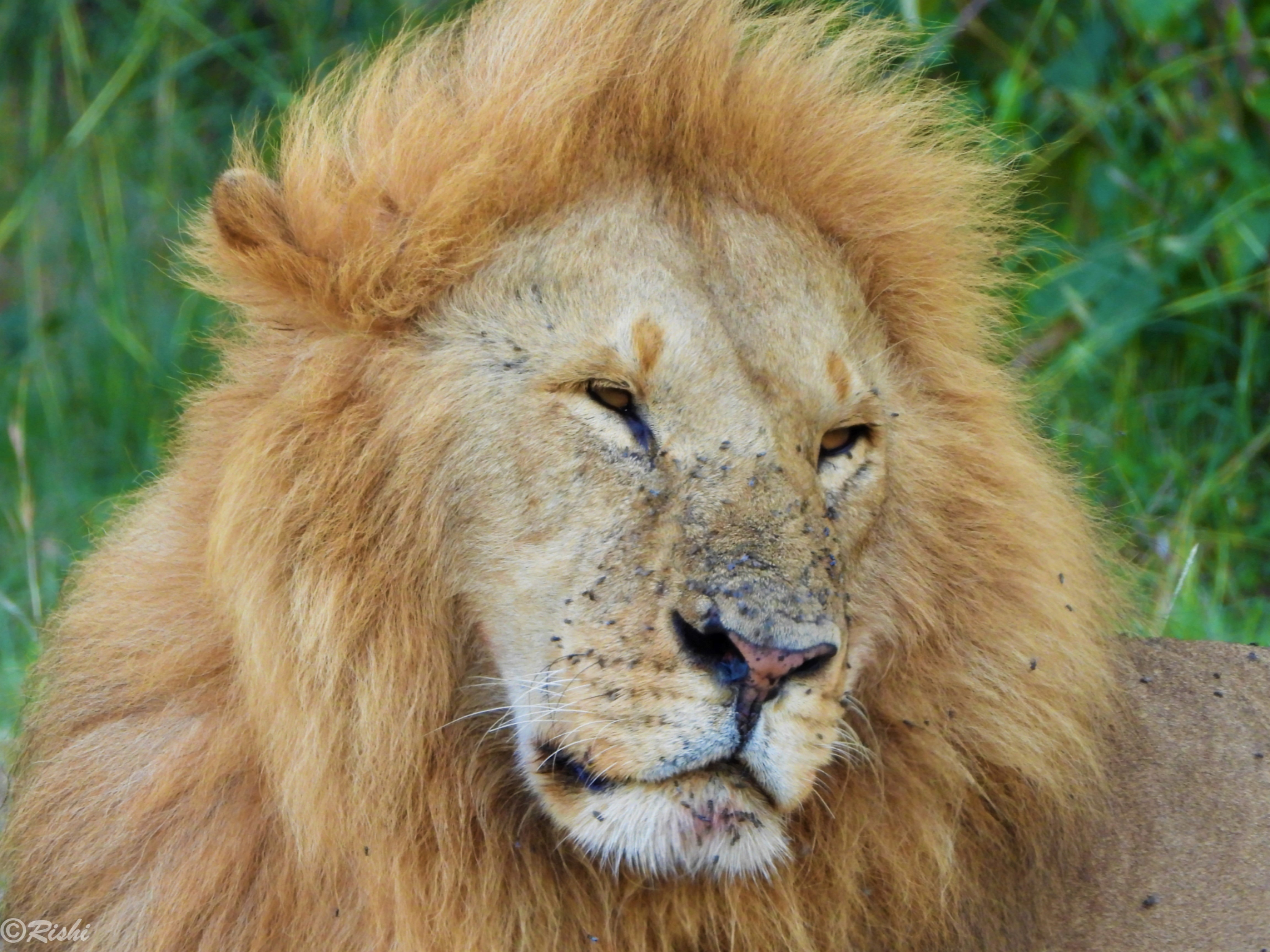 DSCN4383leonexxc.jpg