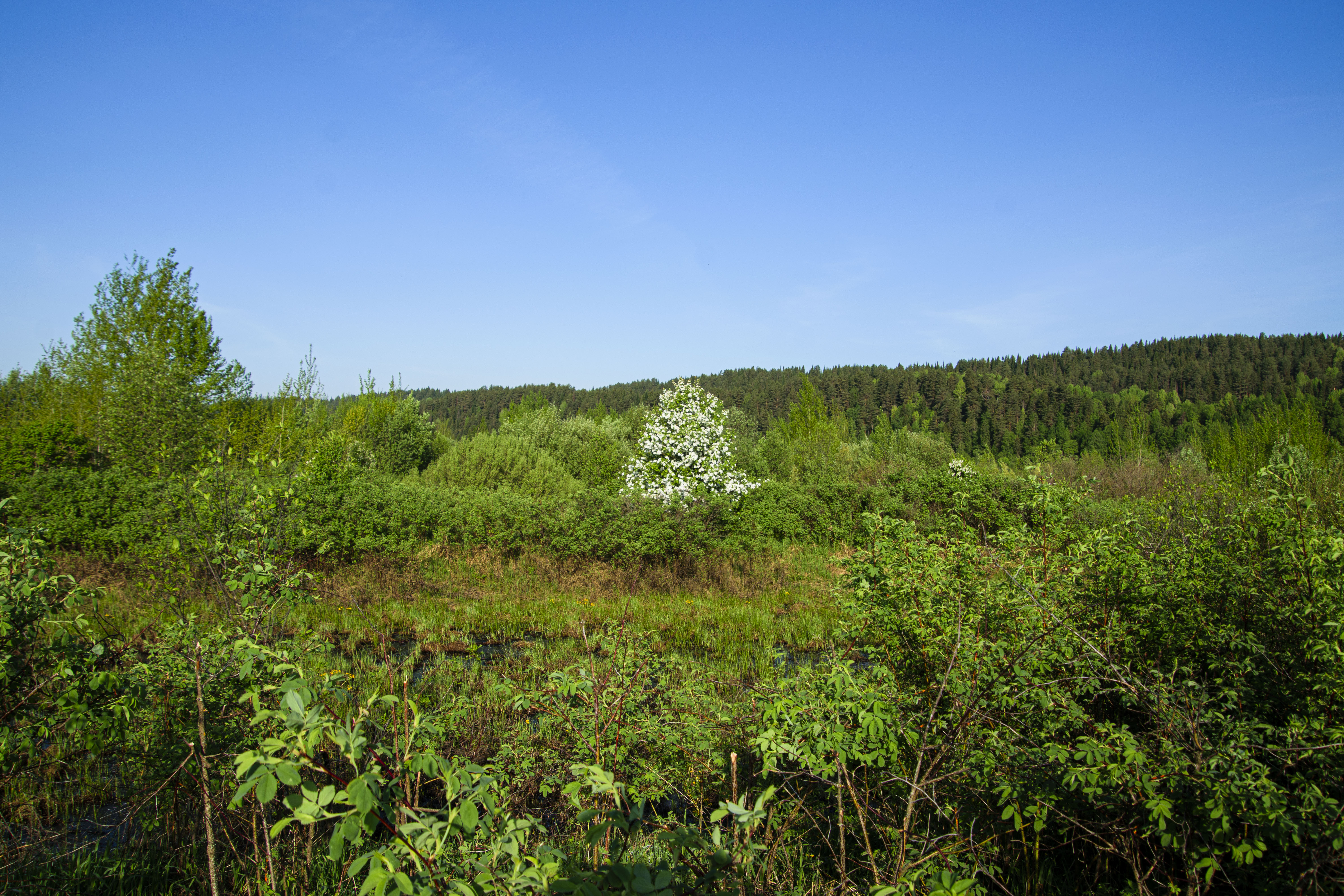 20260523_3.jpg
