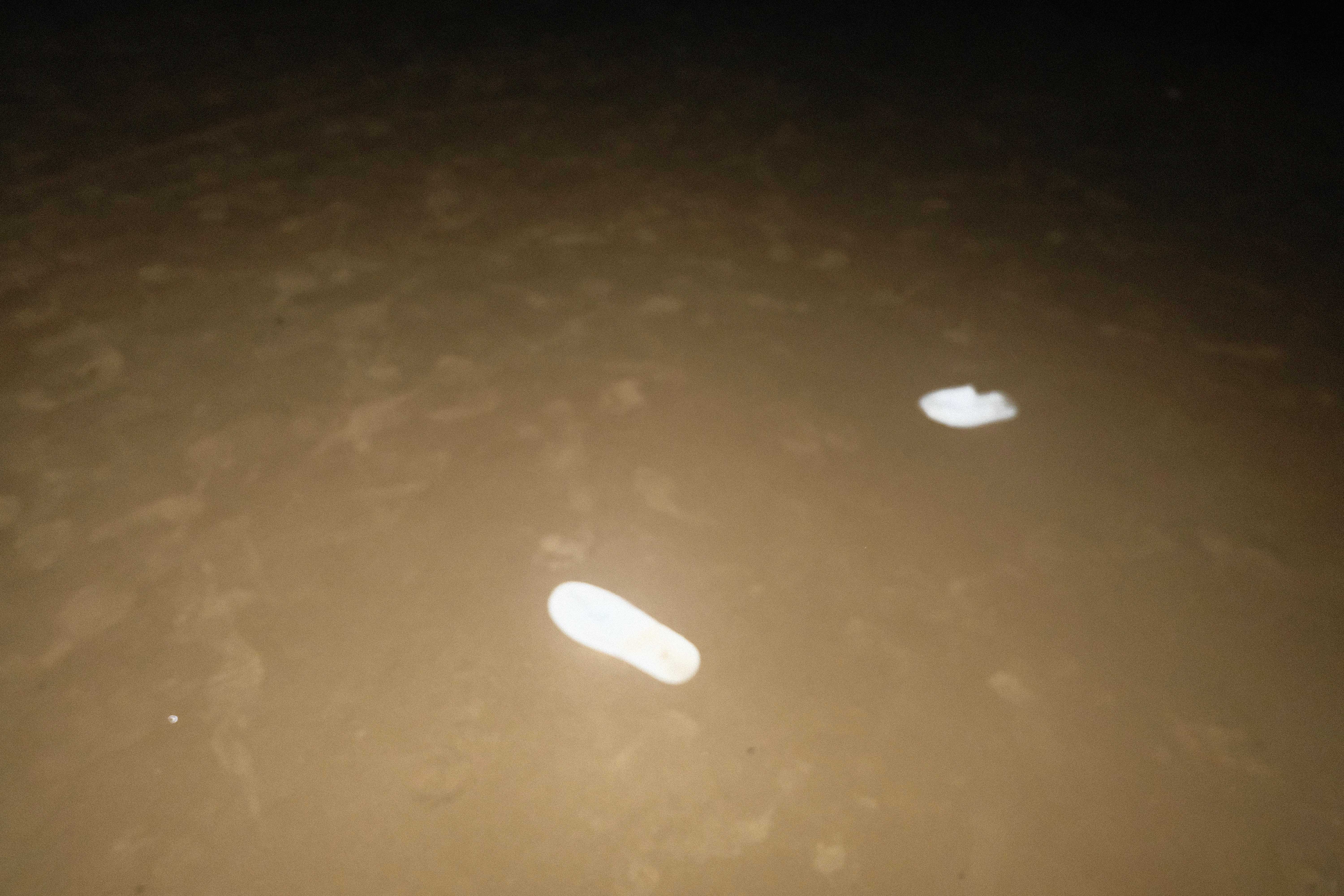 DSCF9756.jpg
