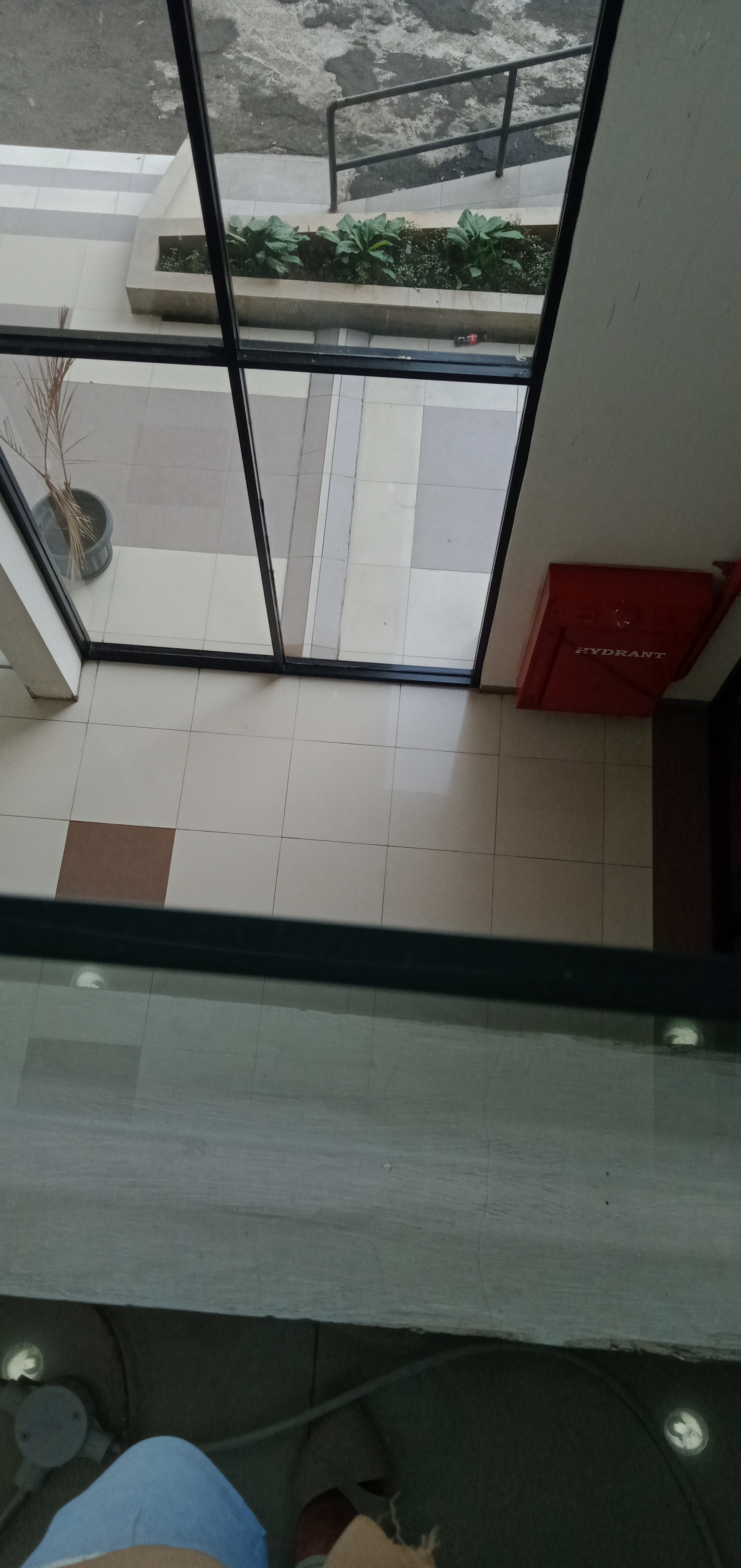 IMG20210802154634.jpg