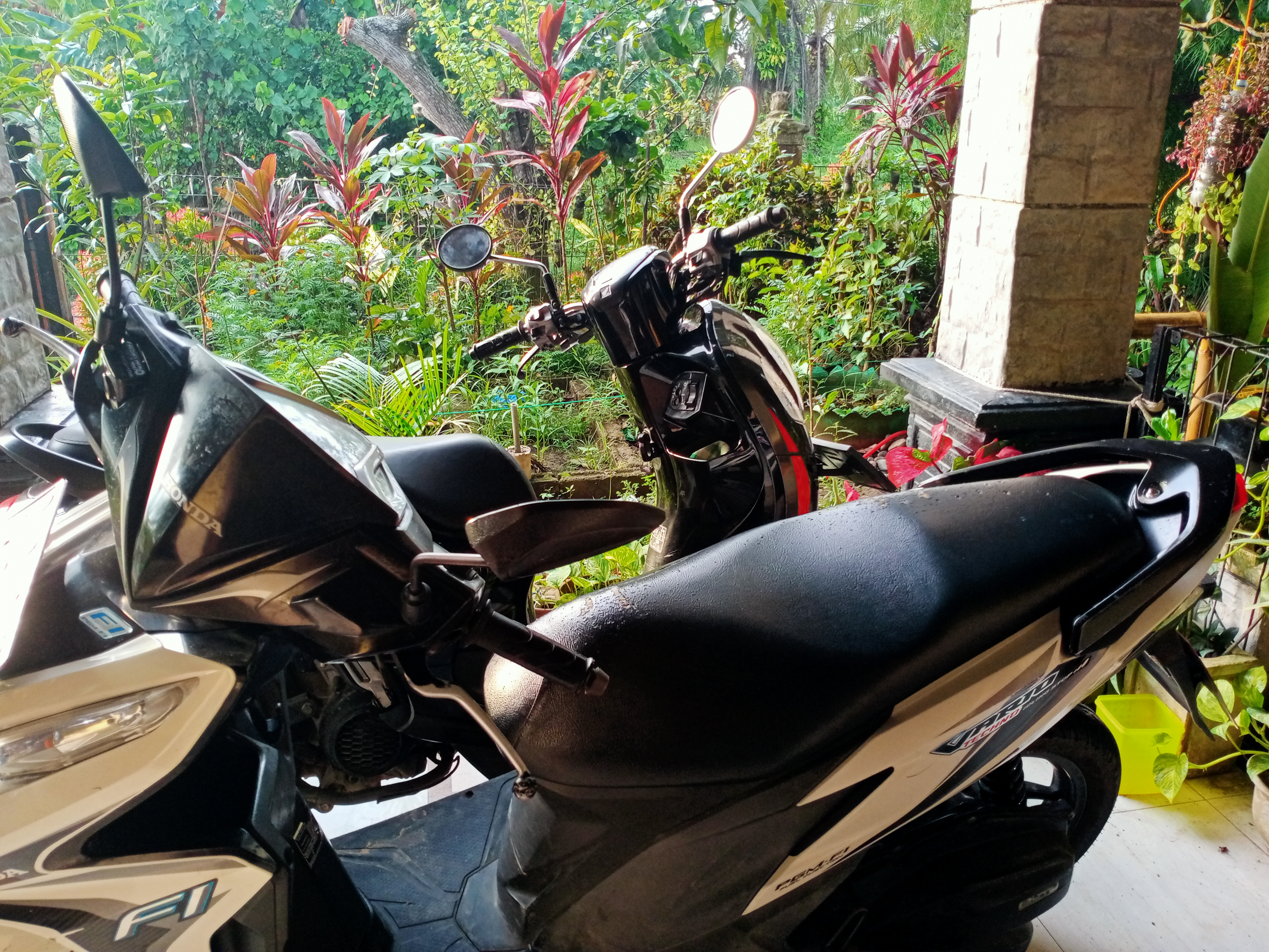 IMG20260515065911.jpg
