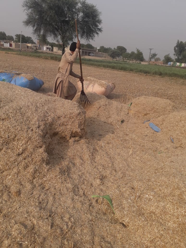 WhatsApp Image 2021-05-02 at 4.59.11 PM (1).jpeg