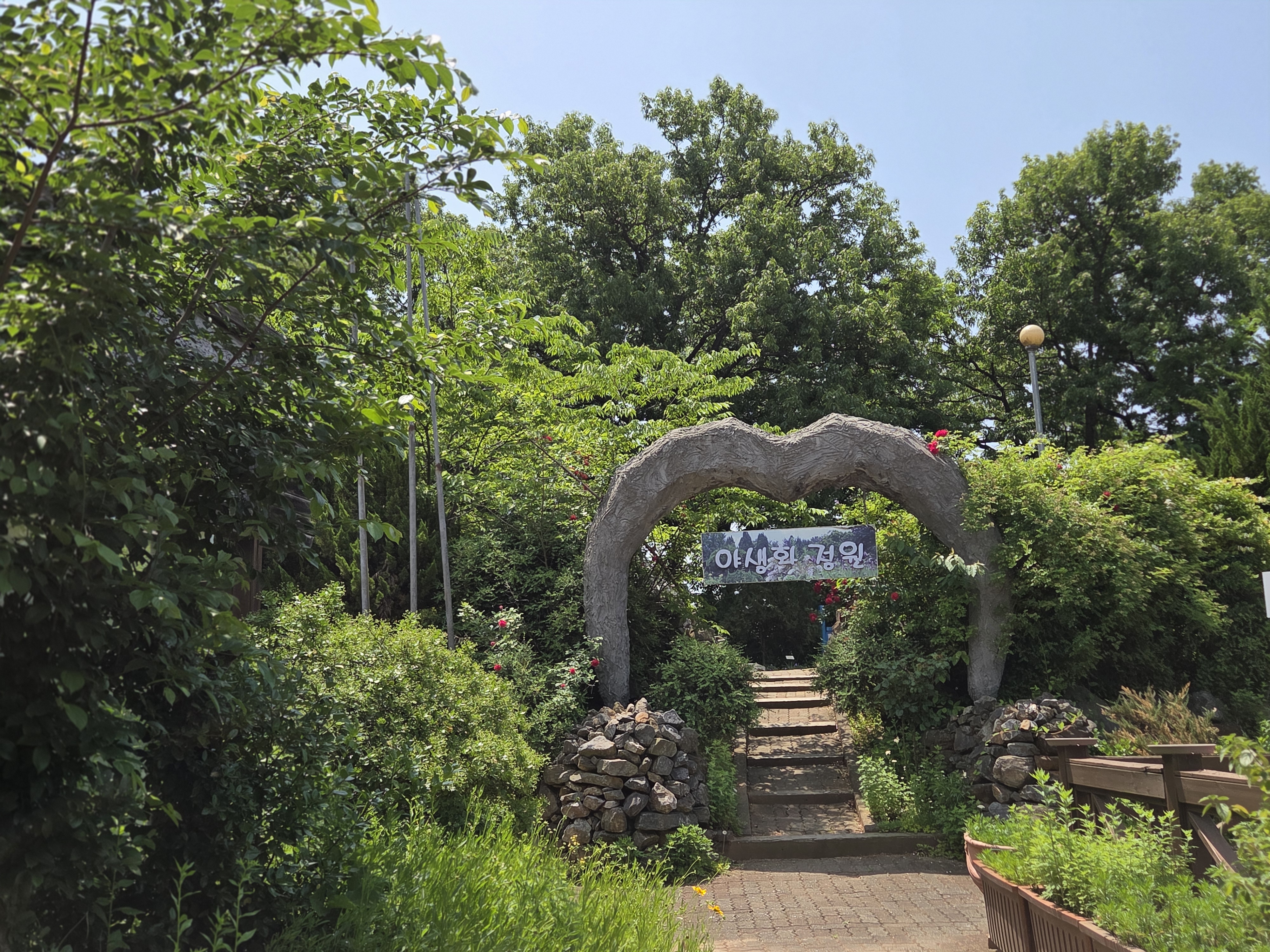 20260524_113450.jpg
