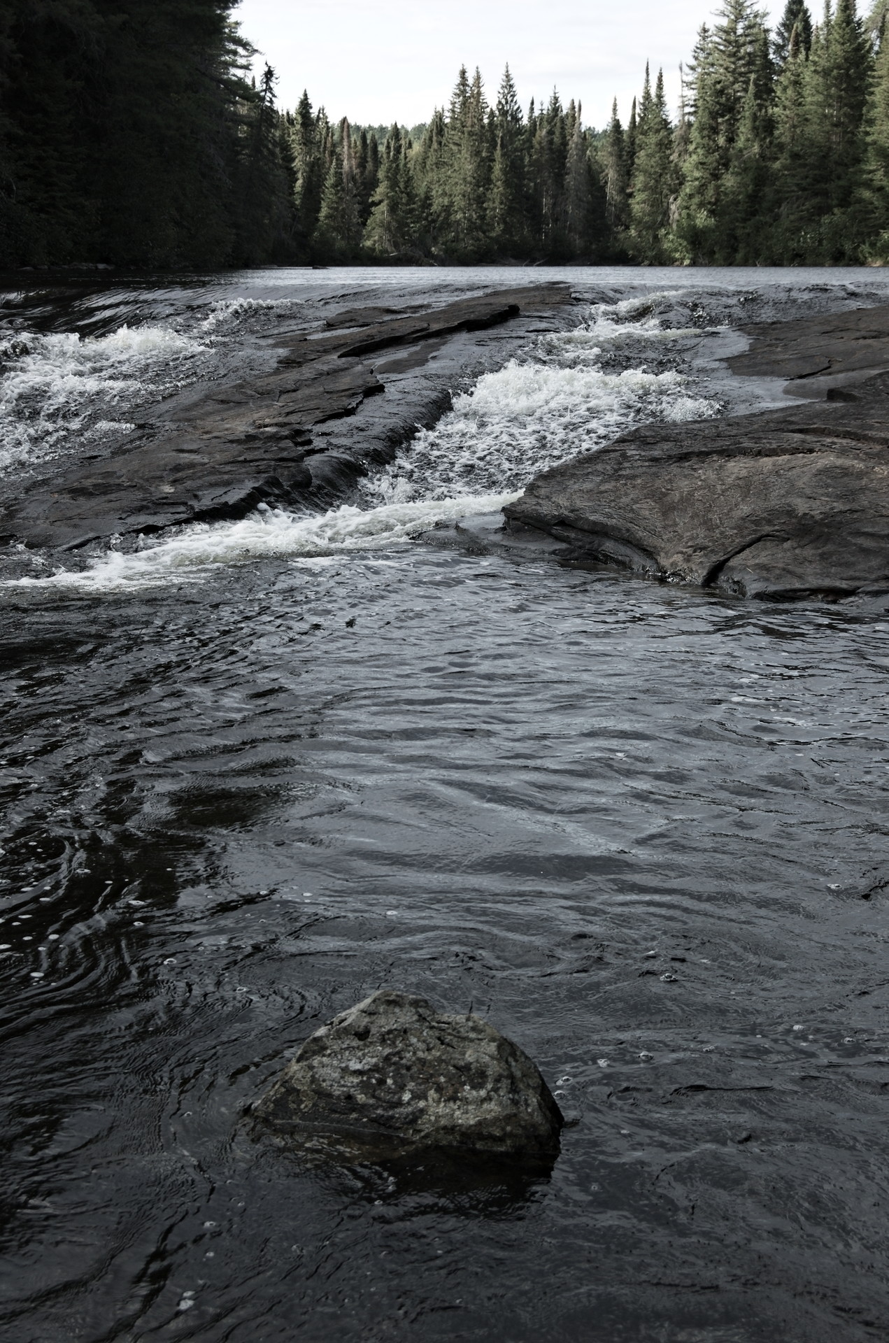 DSC_2134.jpg