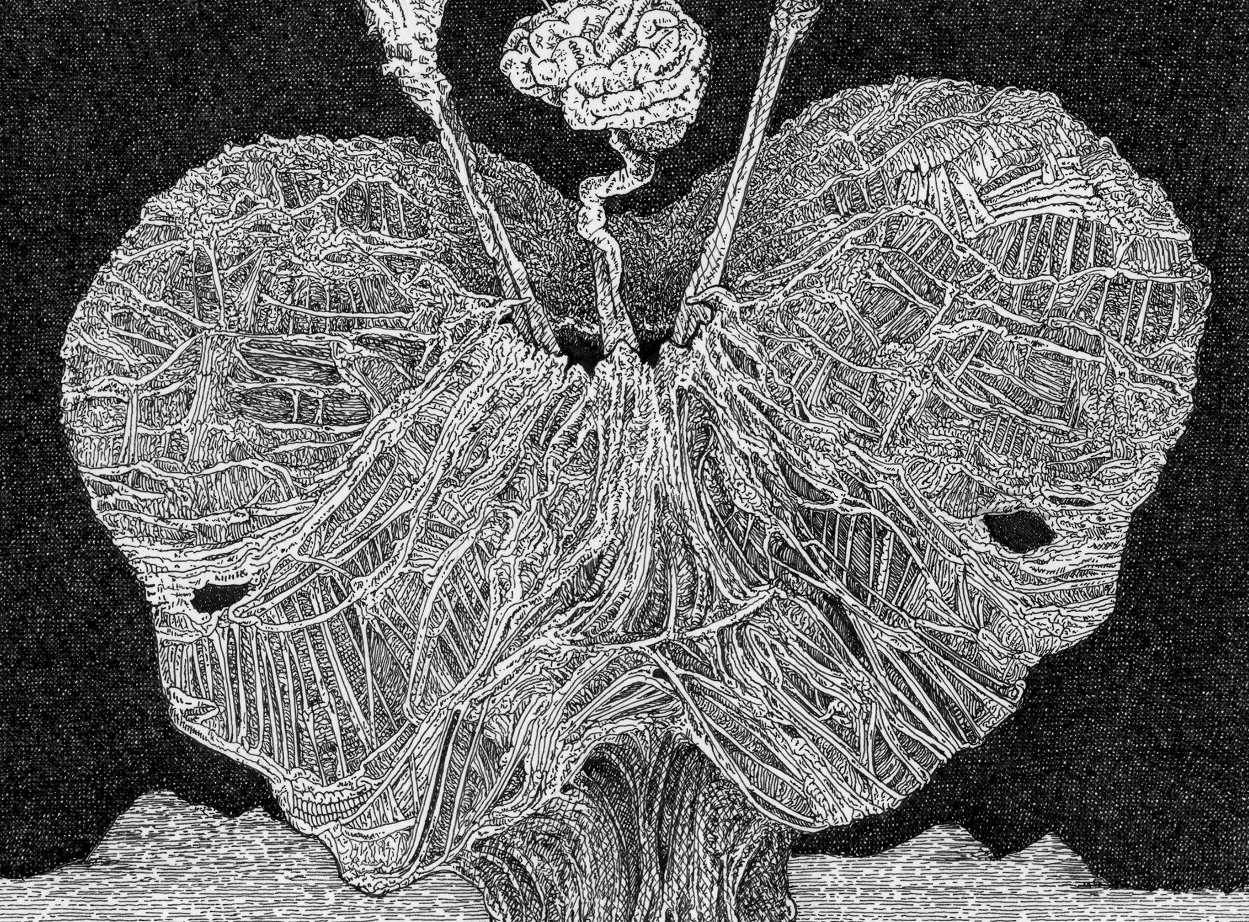 DID_Dissociative_identity_disorder_ASP_detail2.jpg