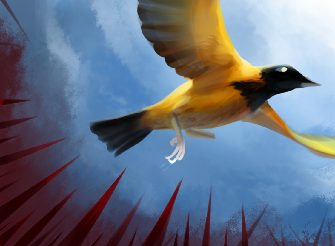 birdp5.png