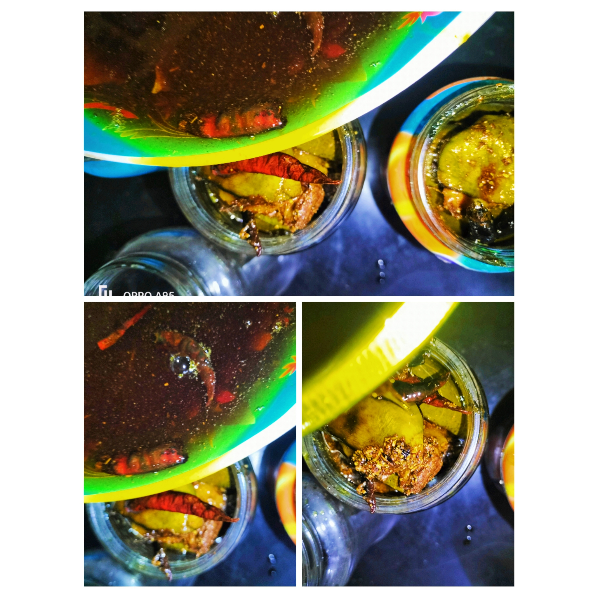 PhotoCollage_1717773345005.jpg