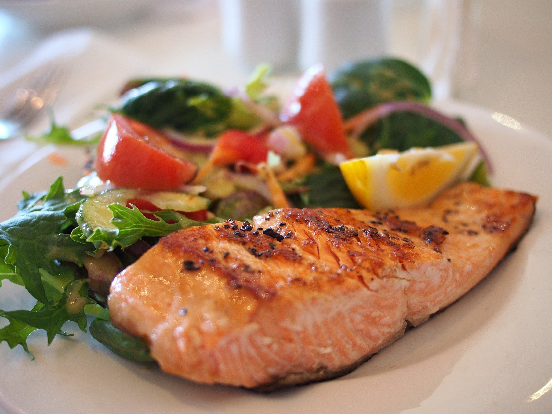 salmon-gd363df34e_1920.jpg