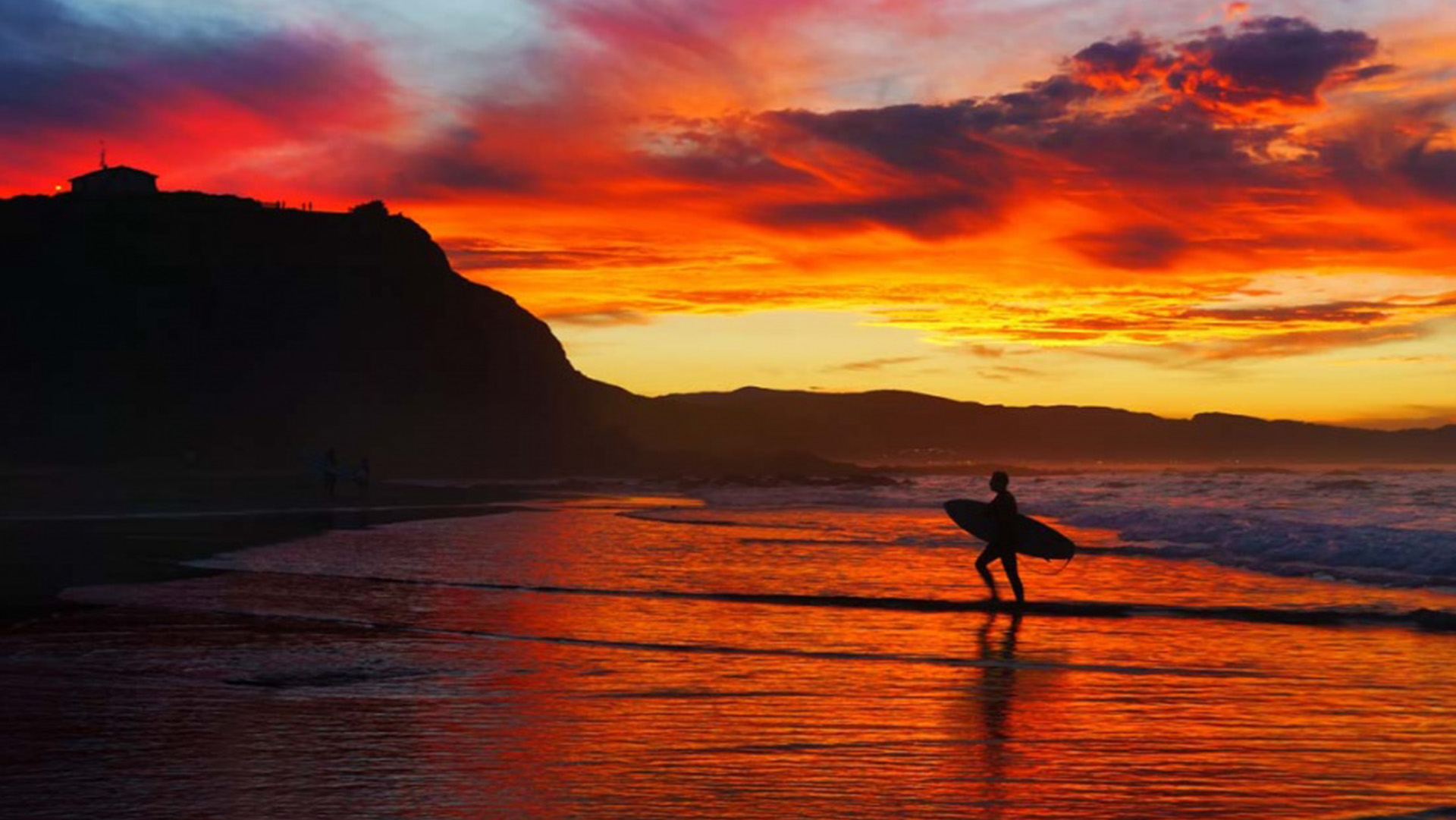 《飞鸟与夏花》每天一首自译飞鸟集（196/325） - Translate a poem form Stray Birds everyday