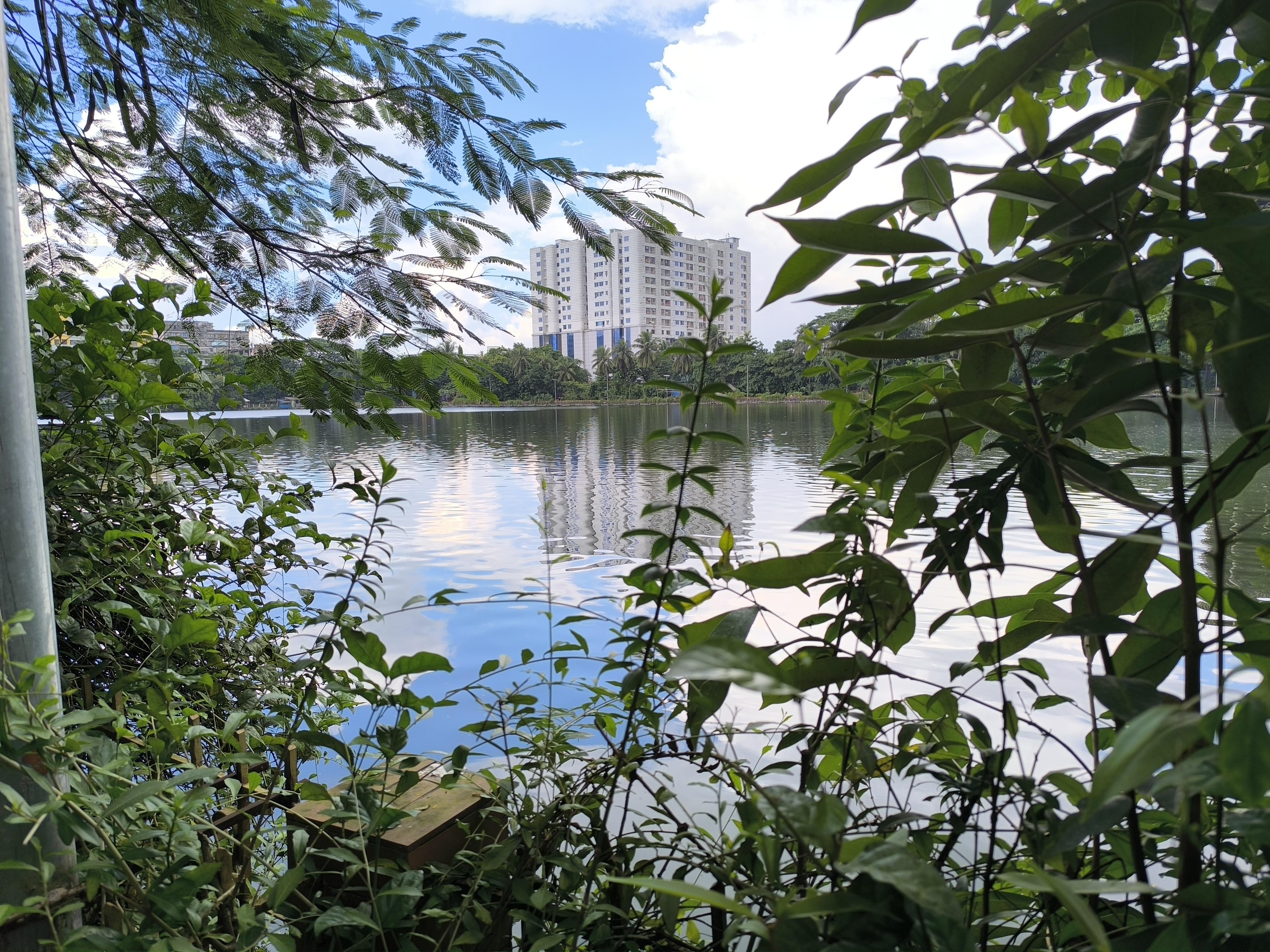IMG_20251007_143625.jpg