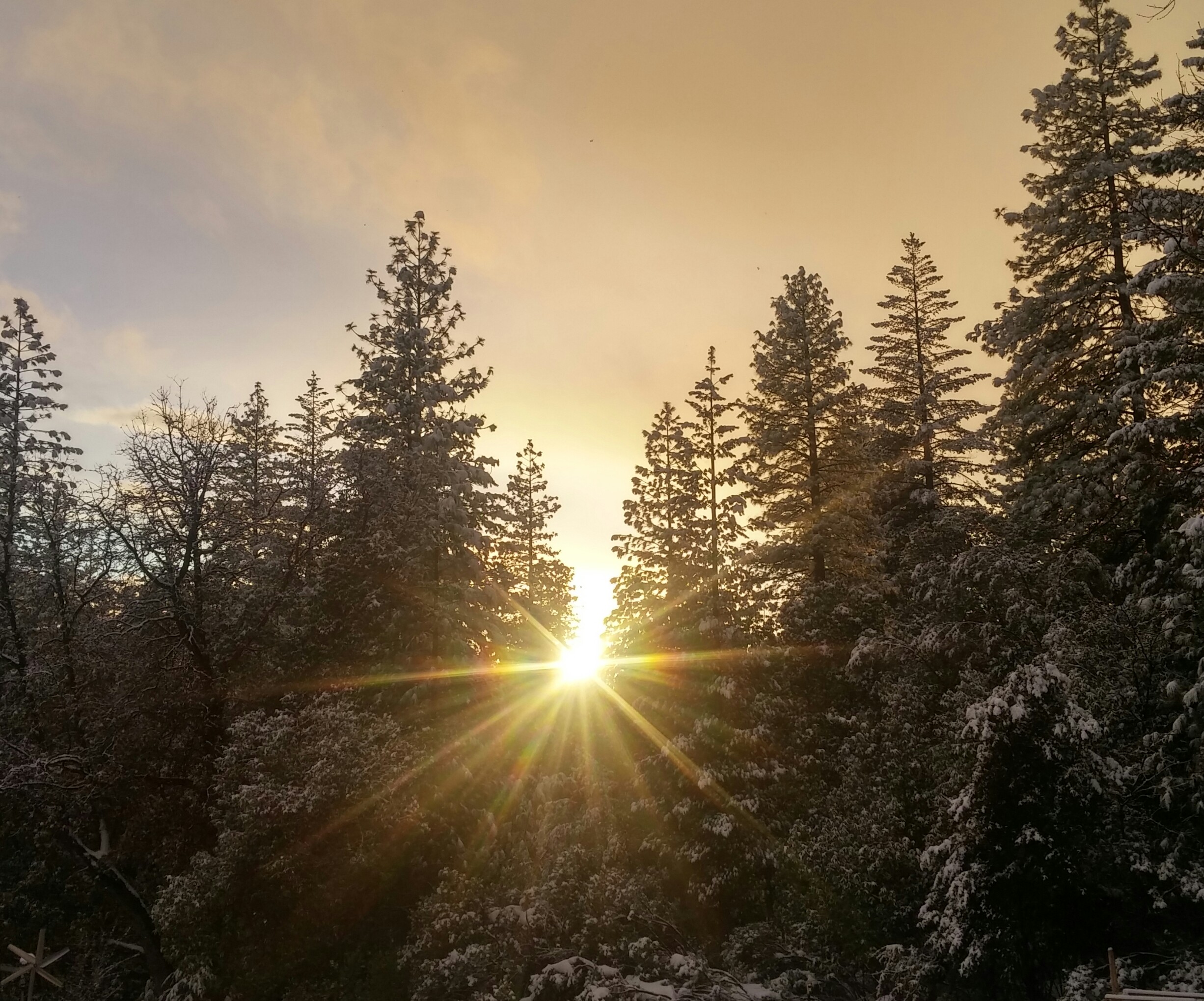 0220191729_HDR-1.jpg