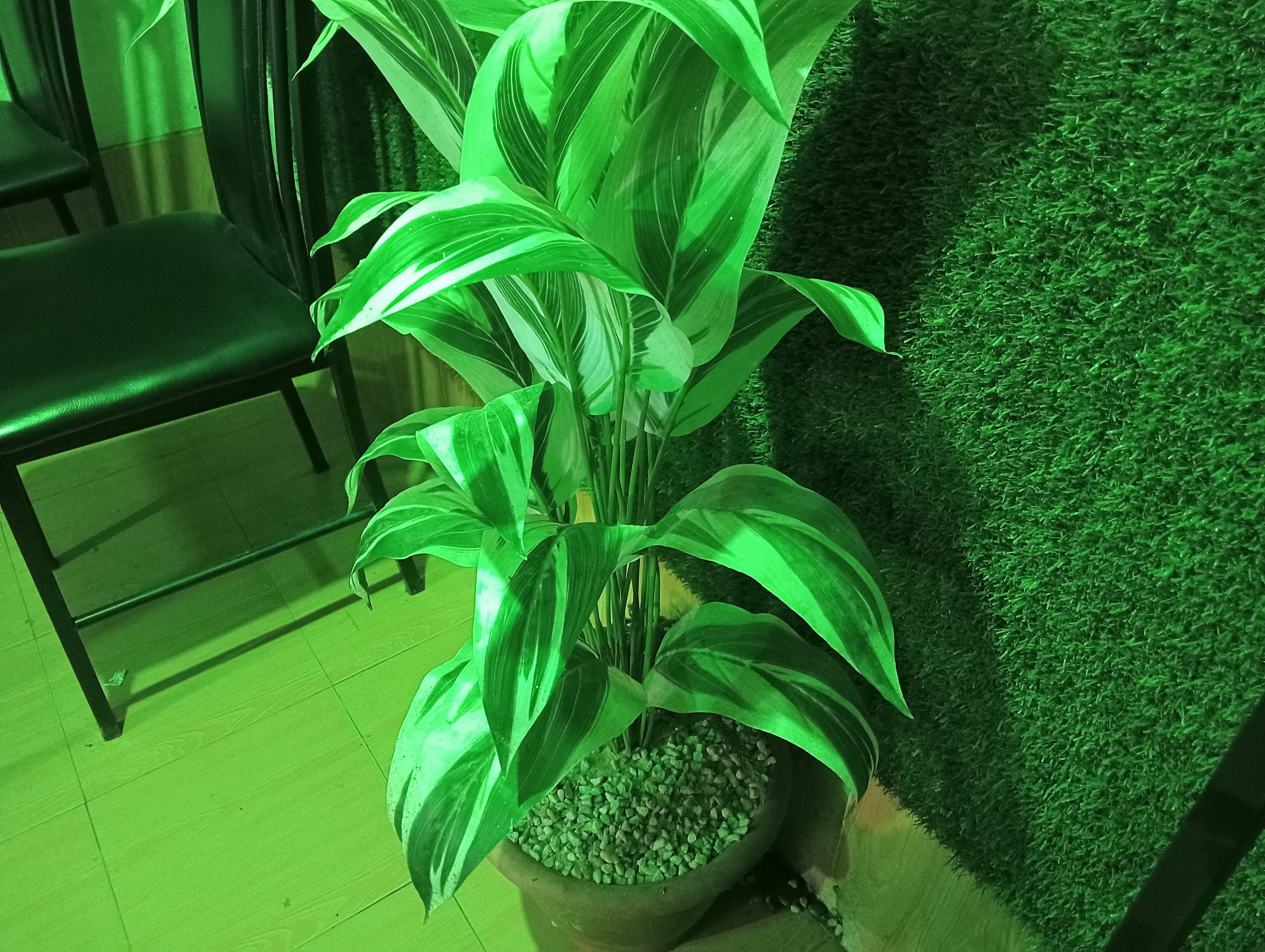 IMG20251007170352.jpg