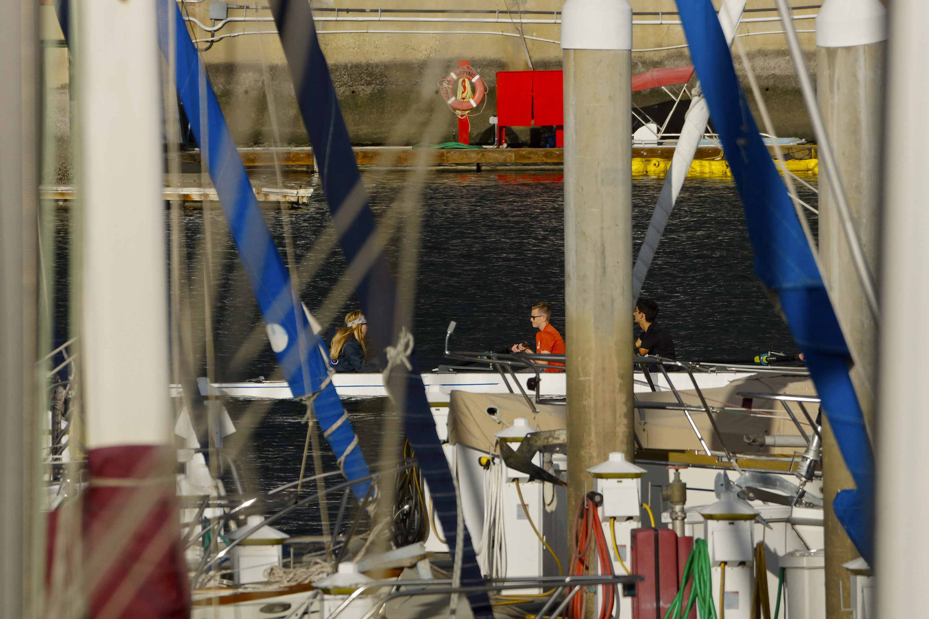 _DSC7538.JPG
