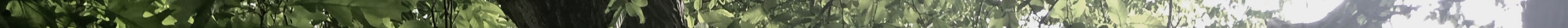 IMG_0186 4.jpeg