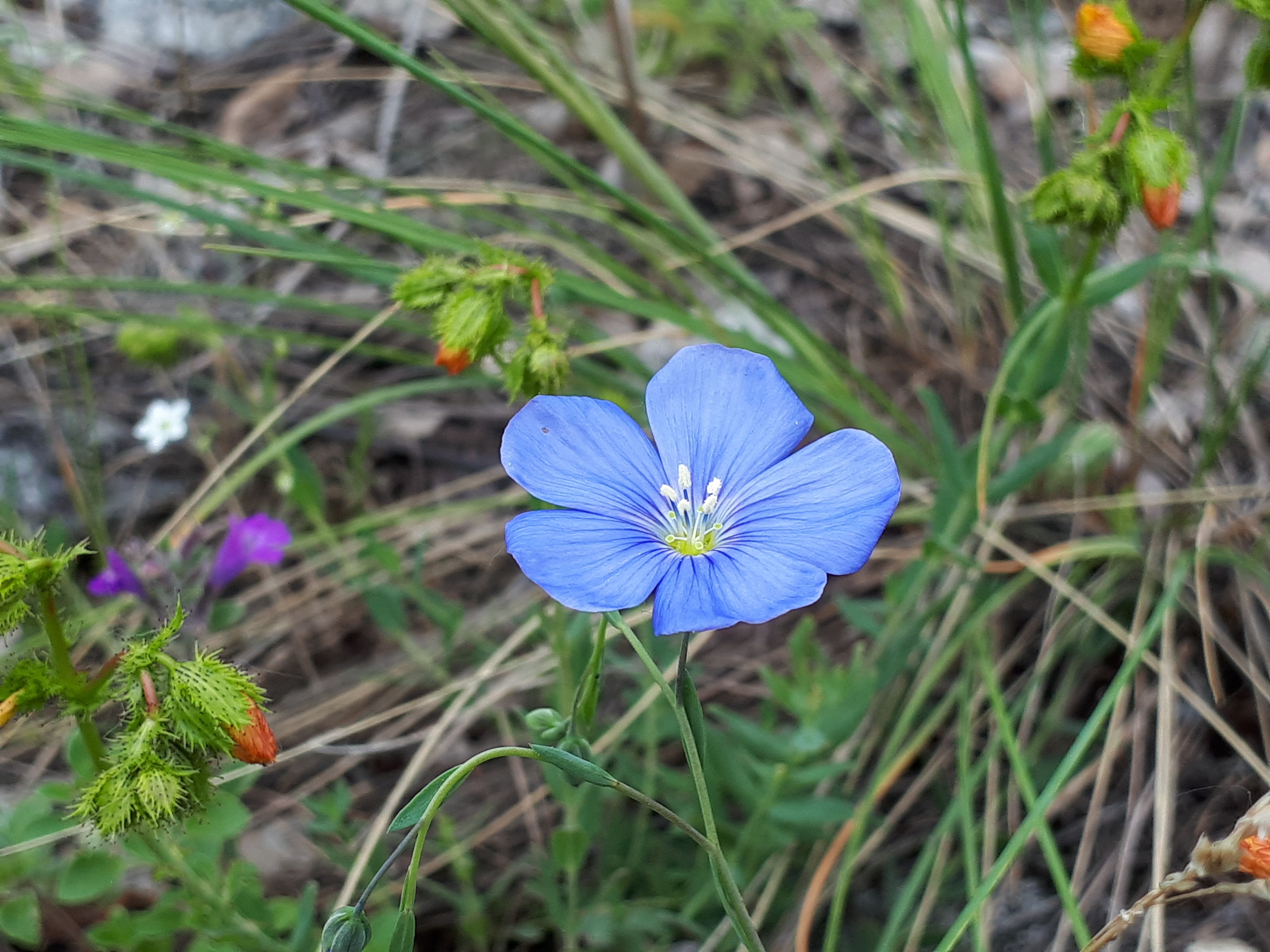 20190519_111309.jpg
