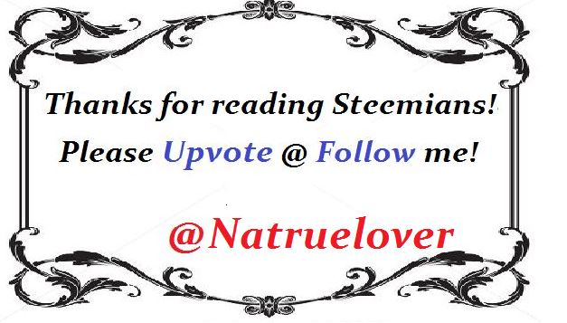 @Natruelover.JPG
