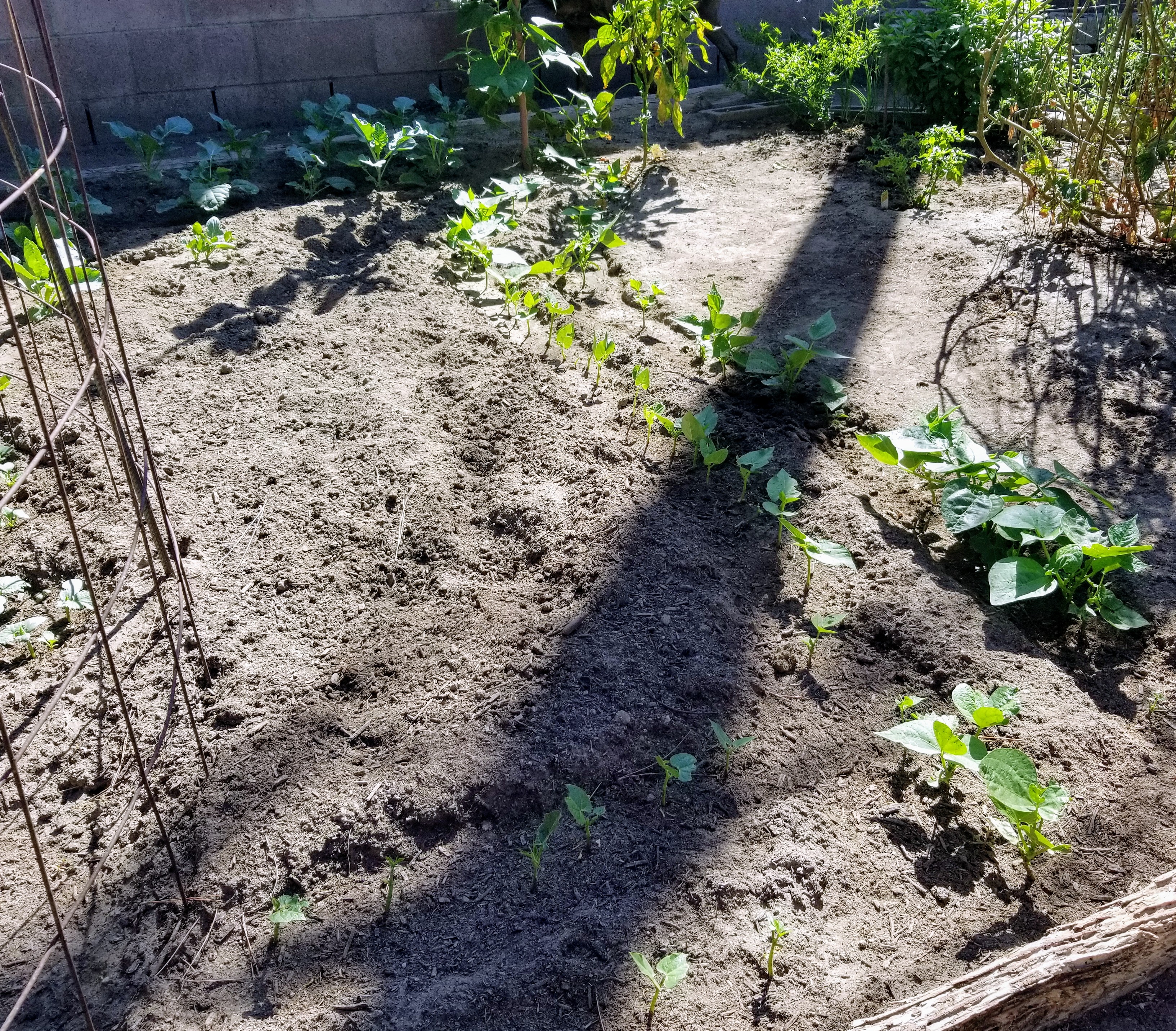 20180926_104138~2.jpg