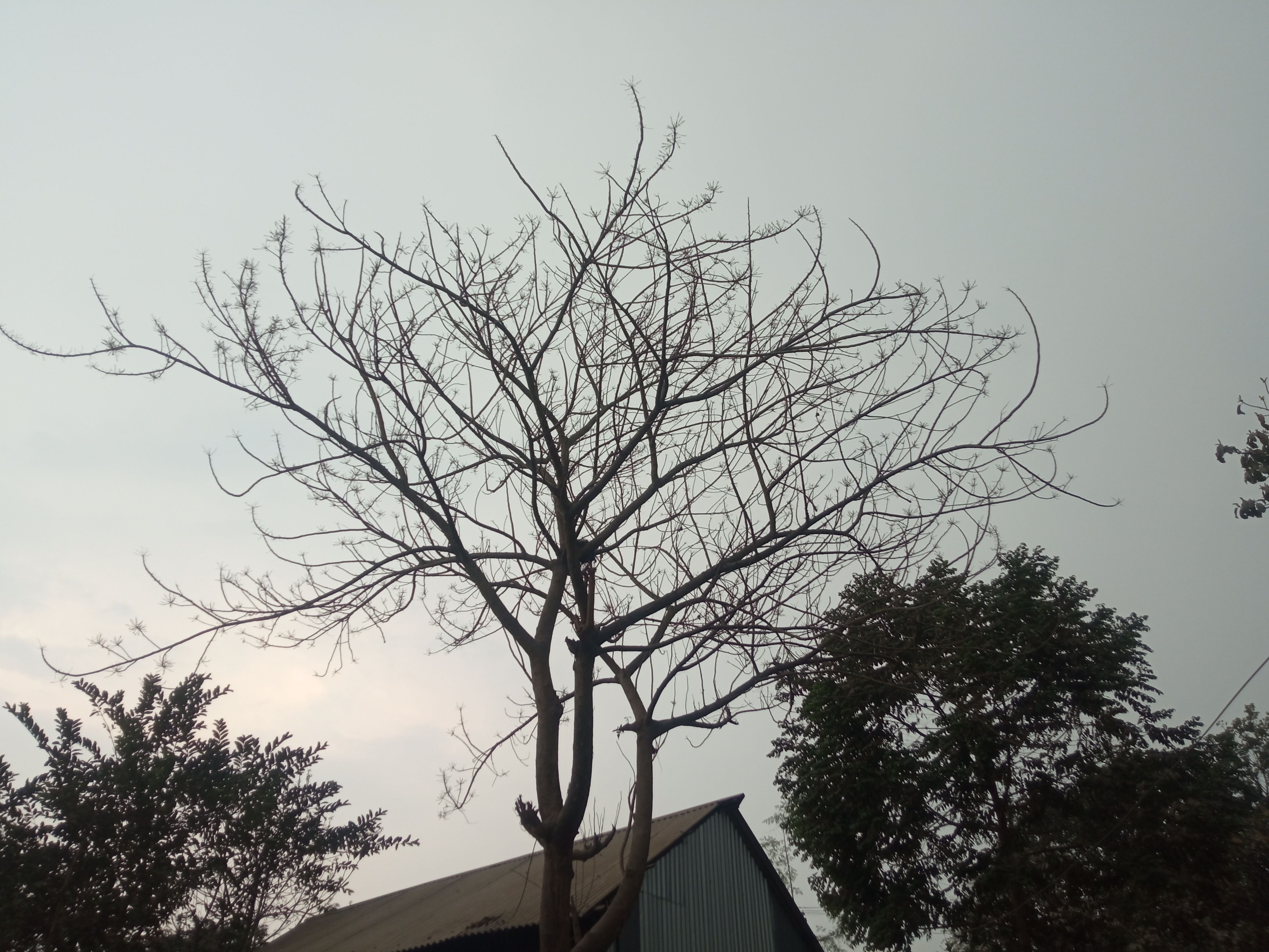 শূণ্যতা (1).jpg