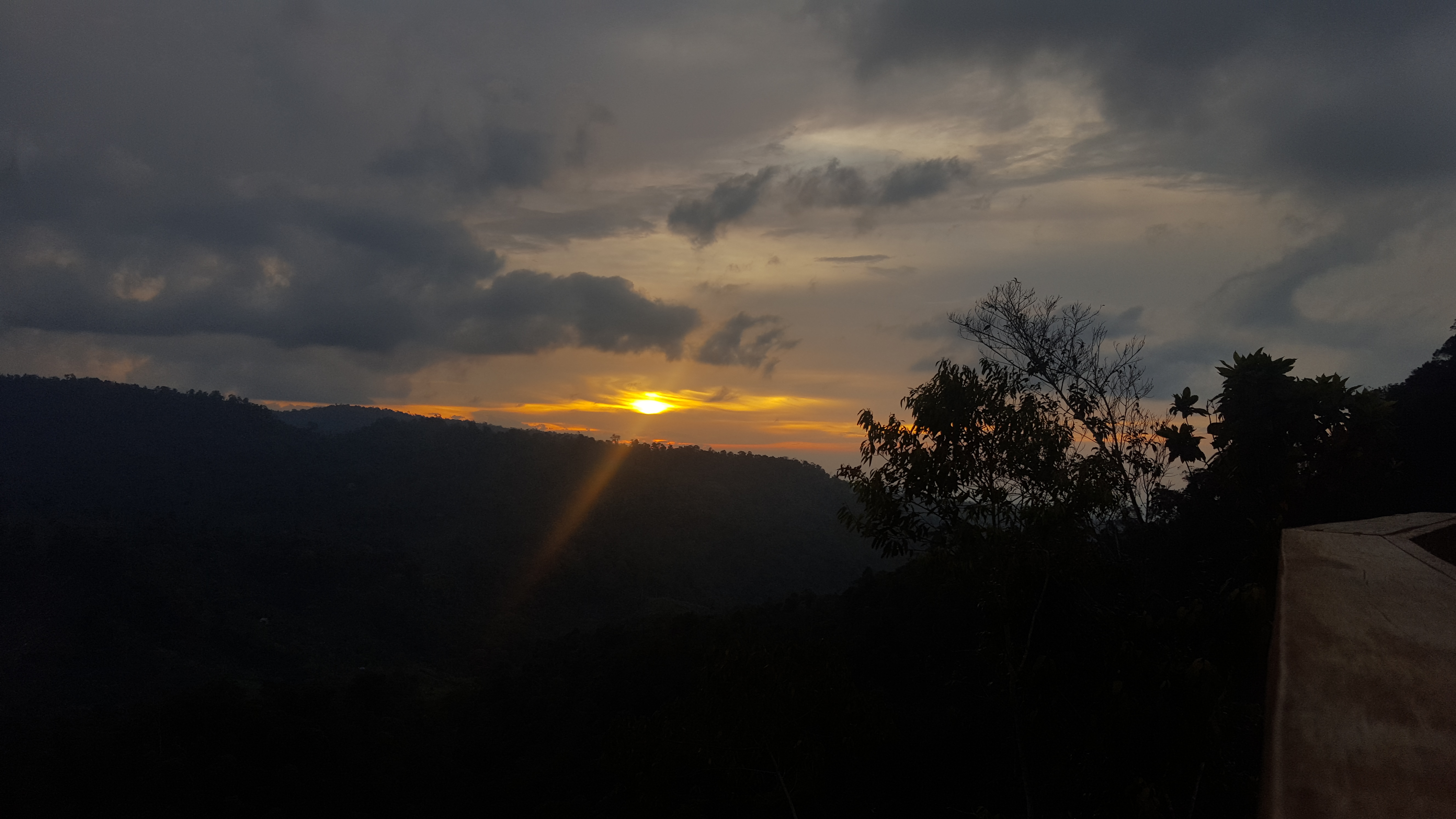 20180722_183824.jpg